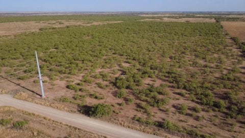 Vacant Land For Sale - Mayfield Road<br/> Amarillo, TX 79252