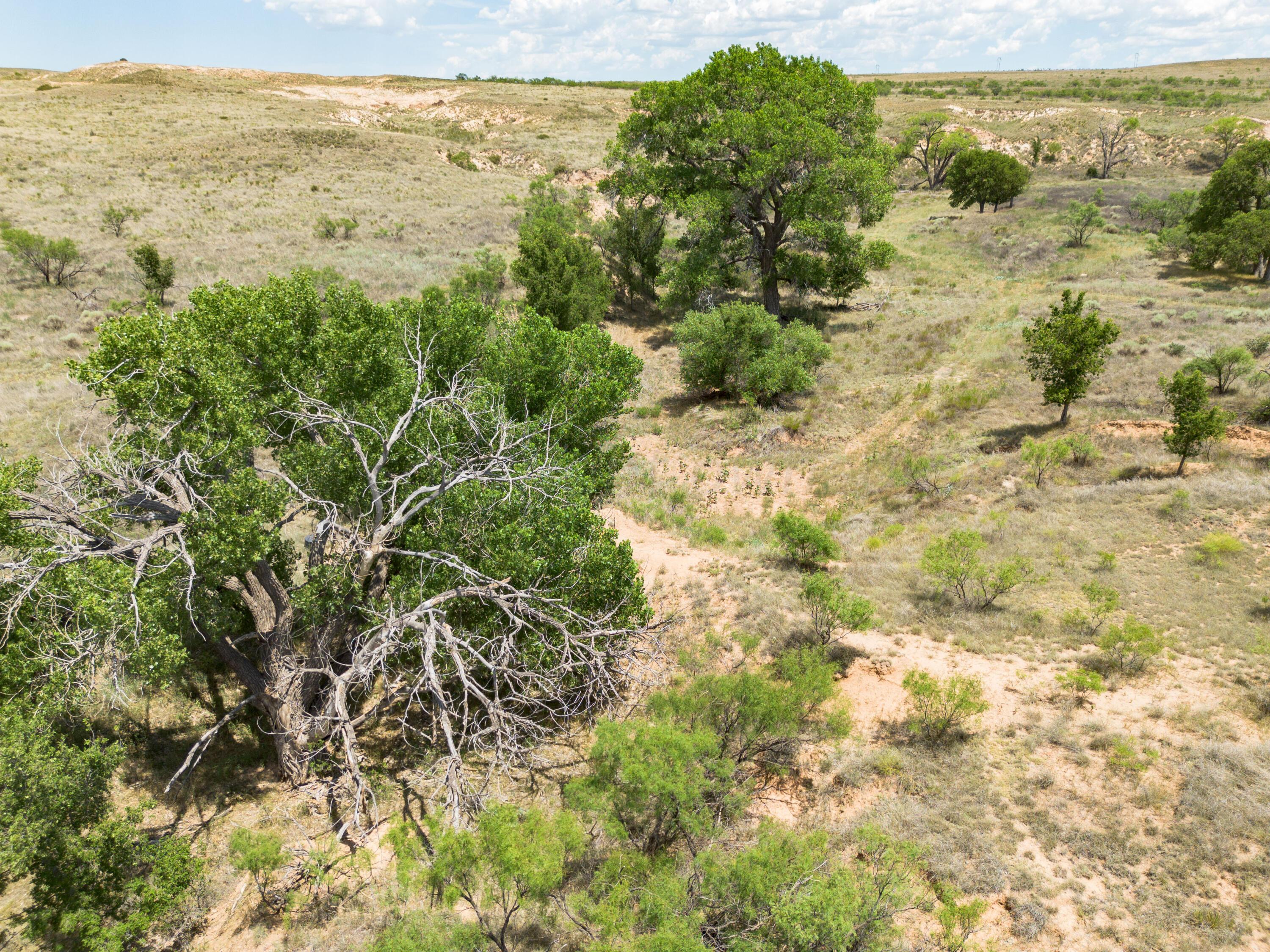 Legacy Ranch Phase 2, Amarillo, Texas image 37