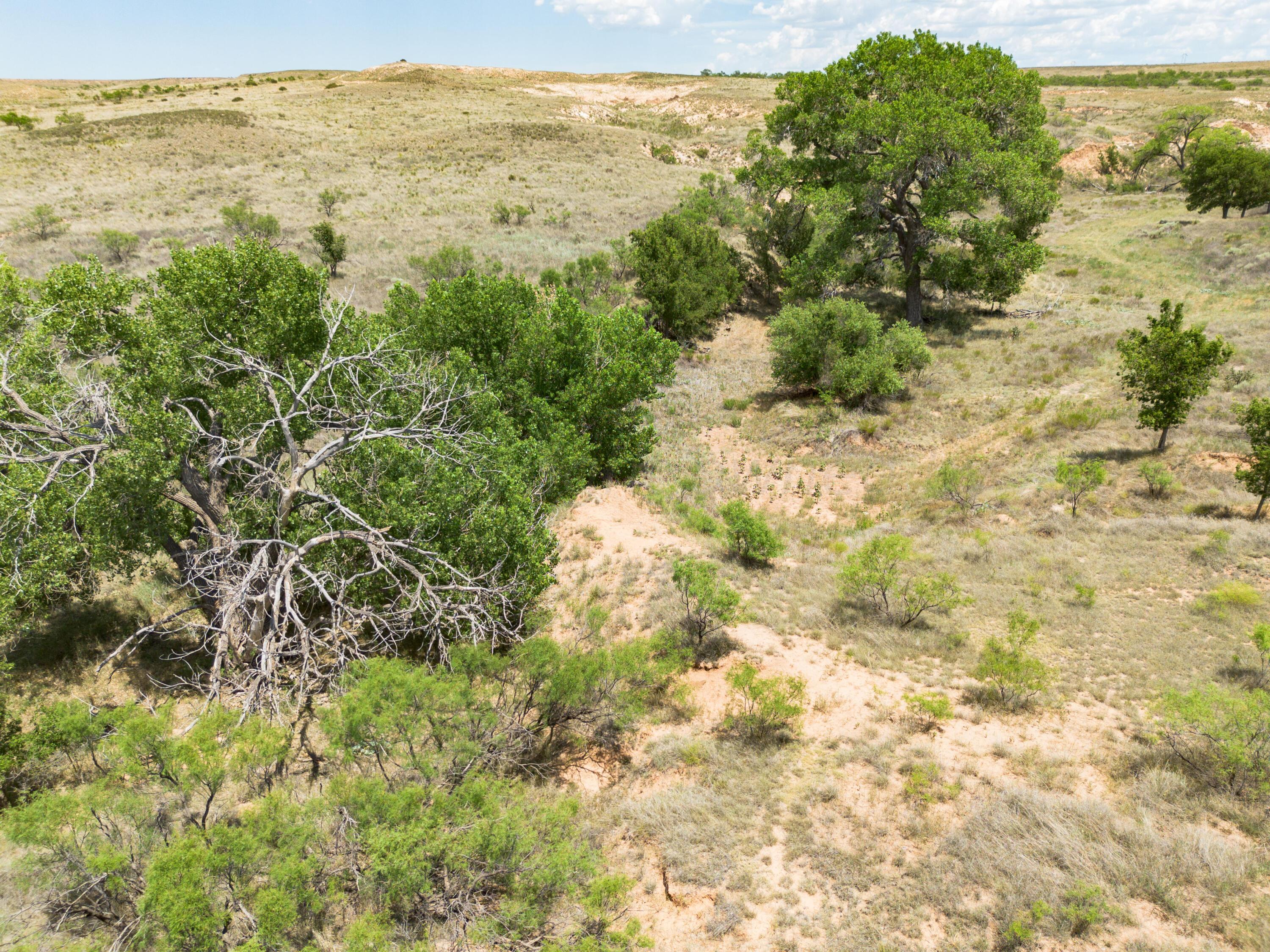 Legacy Ranch Phase 2, Amarillo, Texas image 38