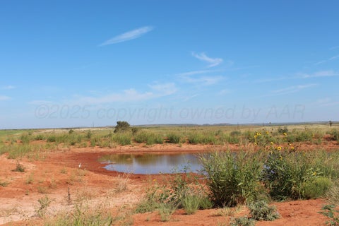 Condo For Sale - 325 ACRES Childress<br/> Amarillo, TX 79201