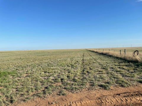 Vacant Land For Sale - Red Tail Ln +-10.13 Ac Tract 1 St<br/> Amarillo, TX 79015