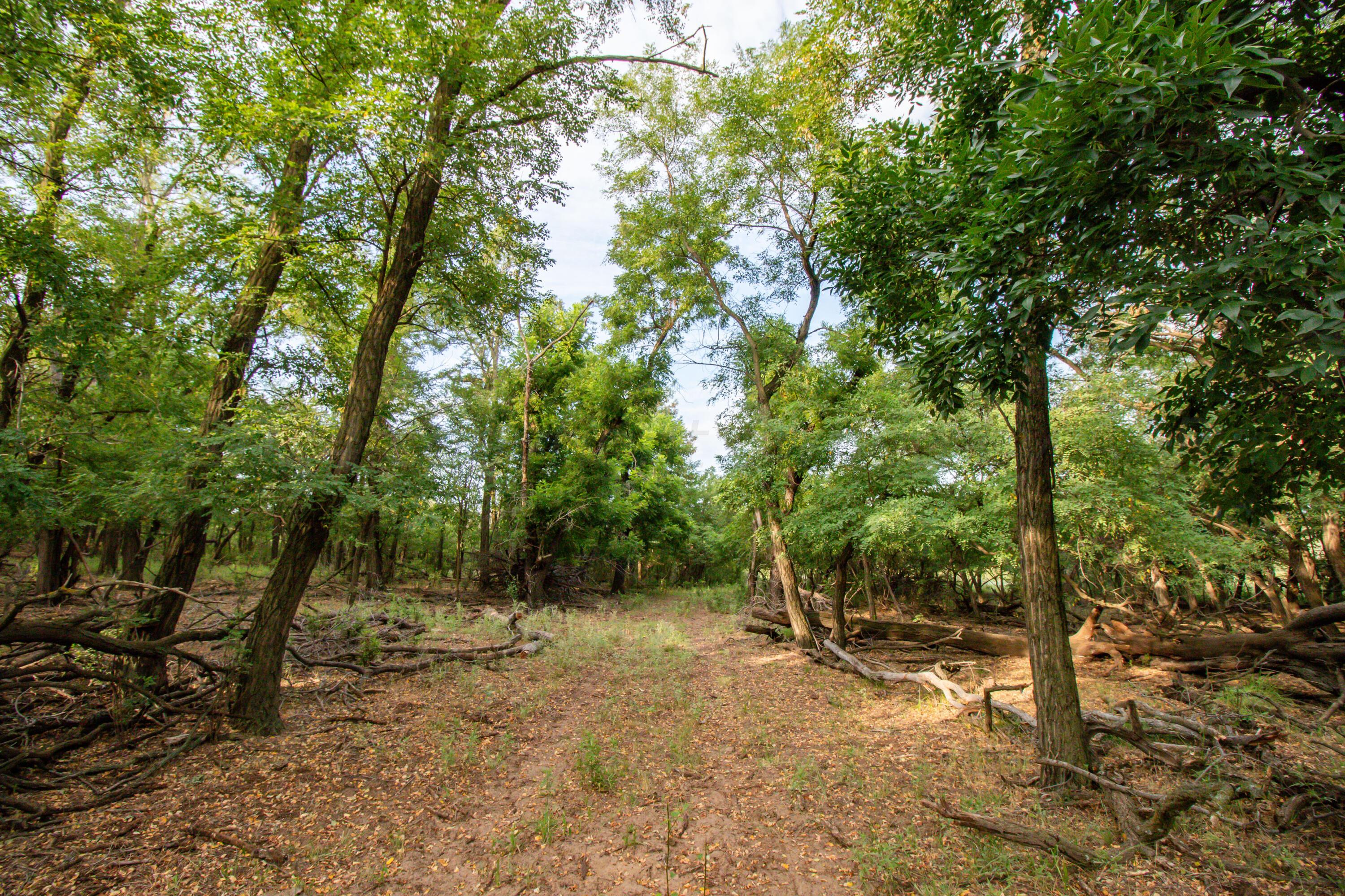 Waters Hunting Ranch, Mobeetie, Texas image 28