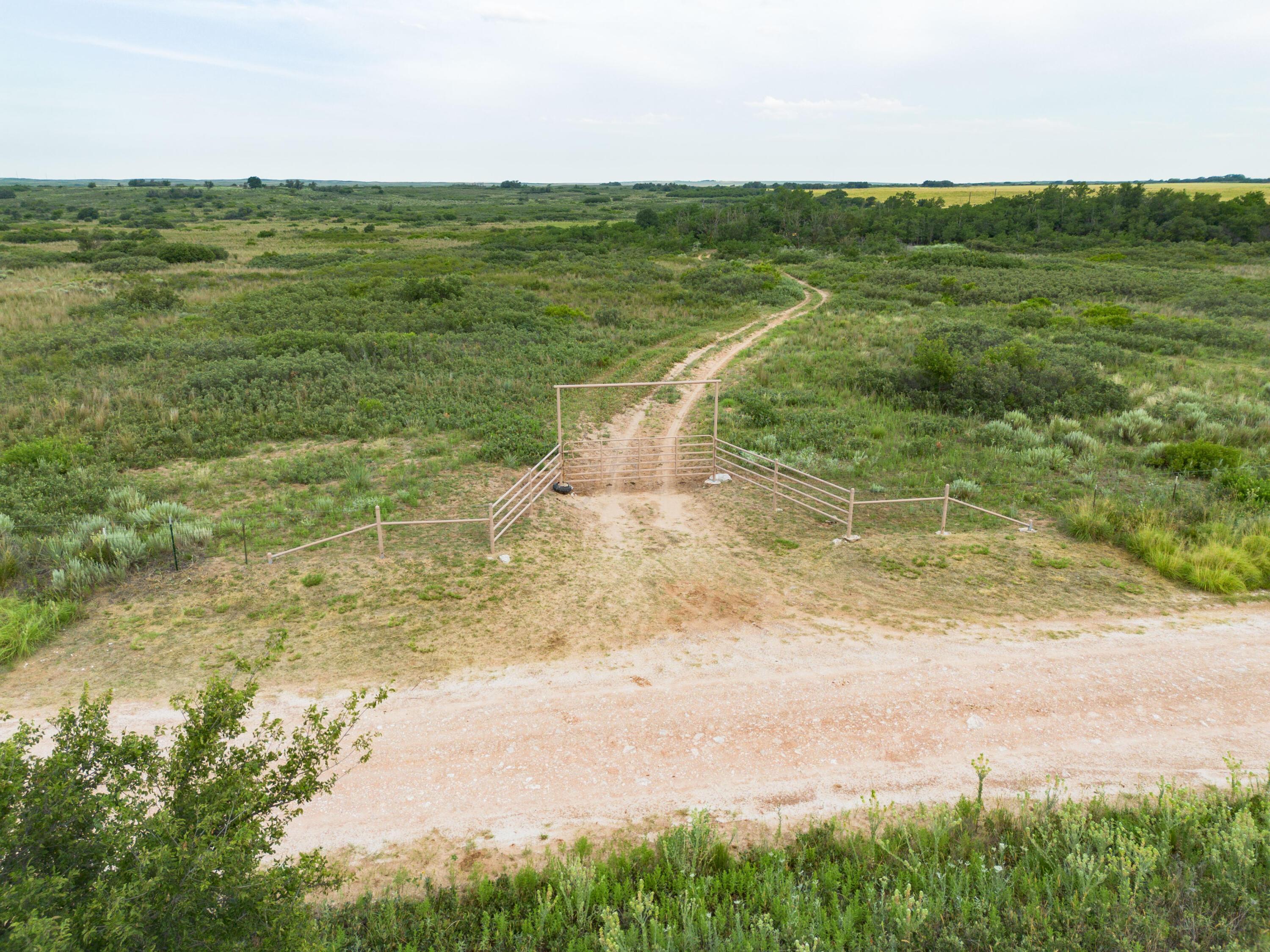 Waters Hunting Ranch, Mobeetie, Texas image 2