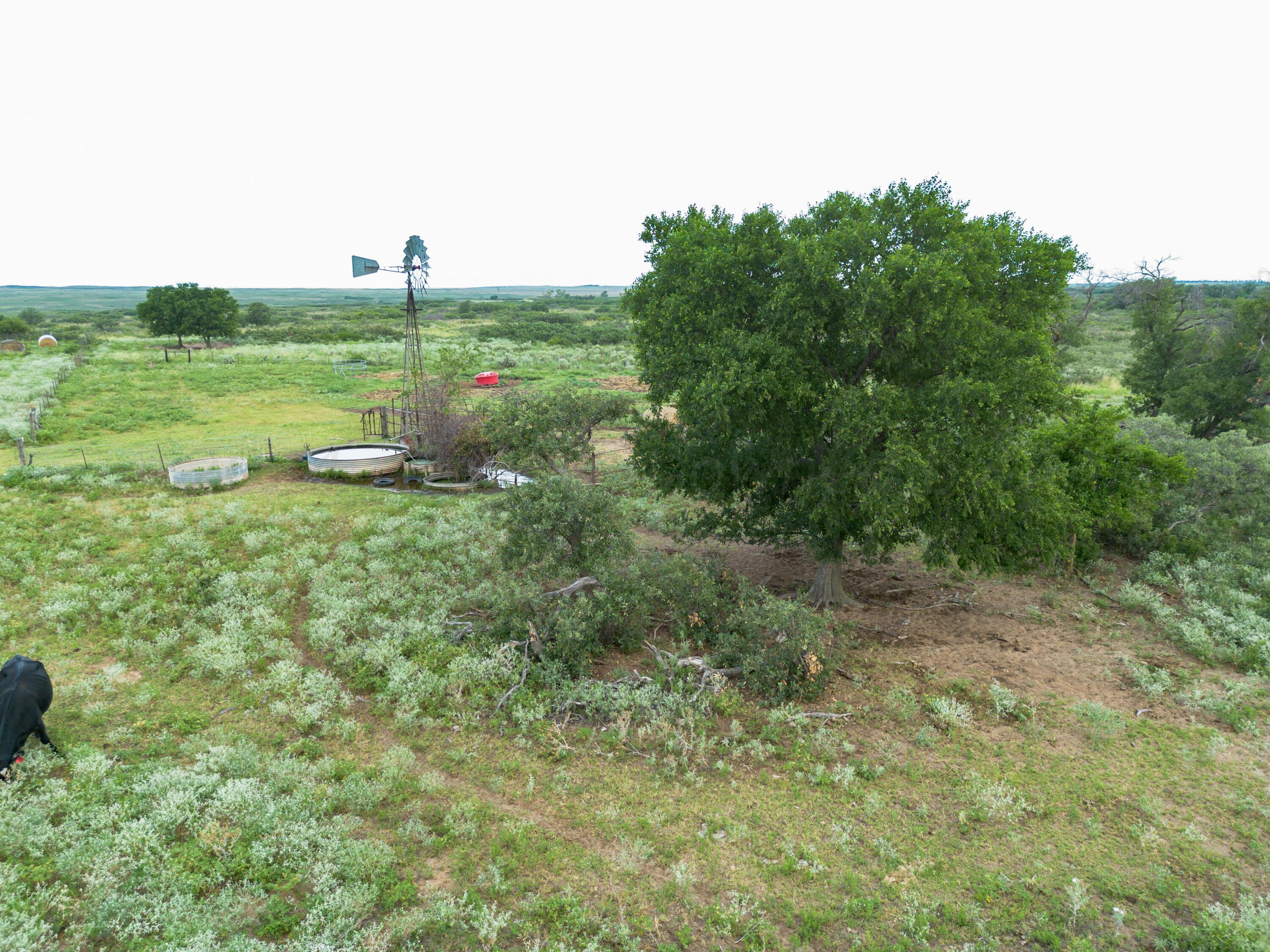 Waters Hunting Ranch, Mobeetie, Texas image 44