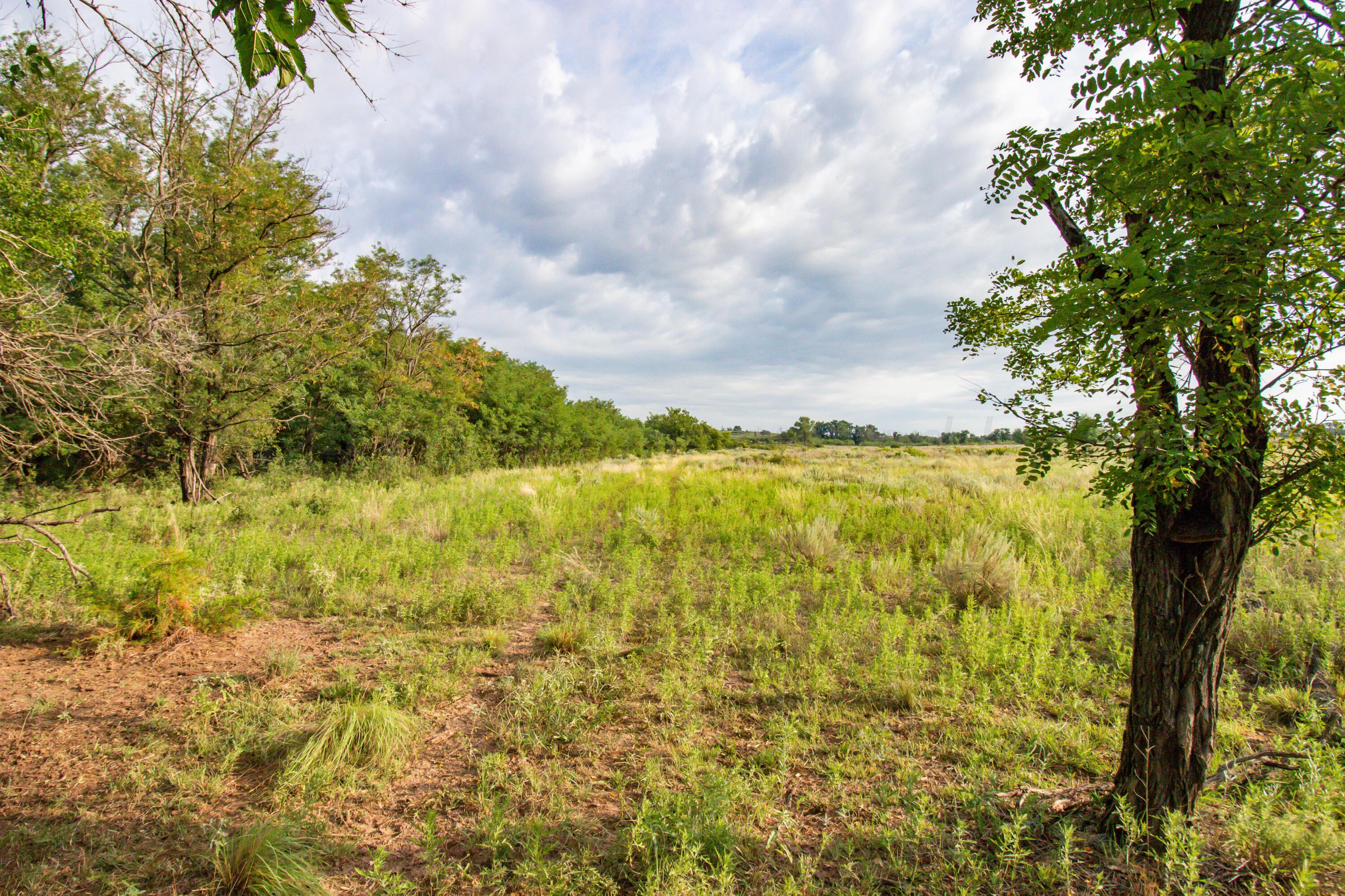 Waters Hunting Ranch, Mobeetie, Texas image 3