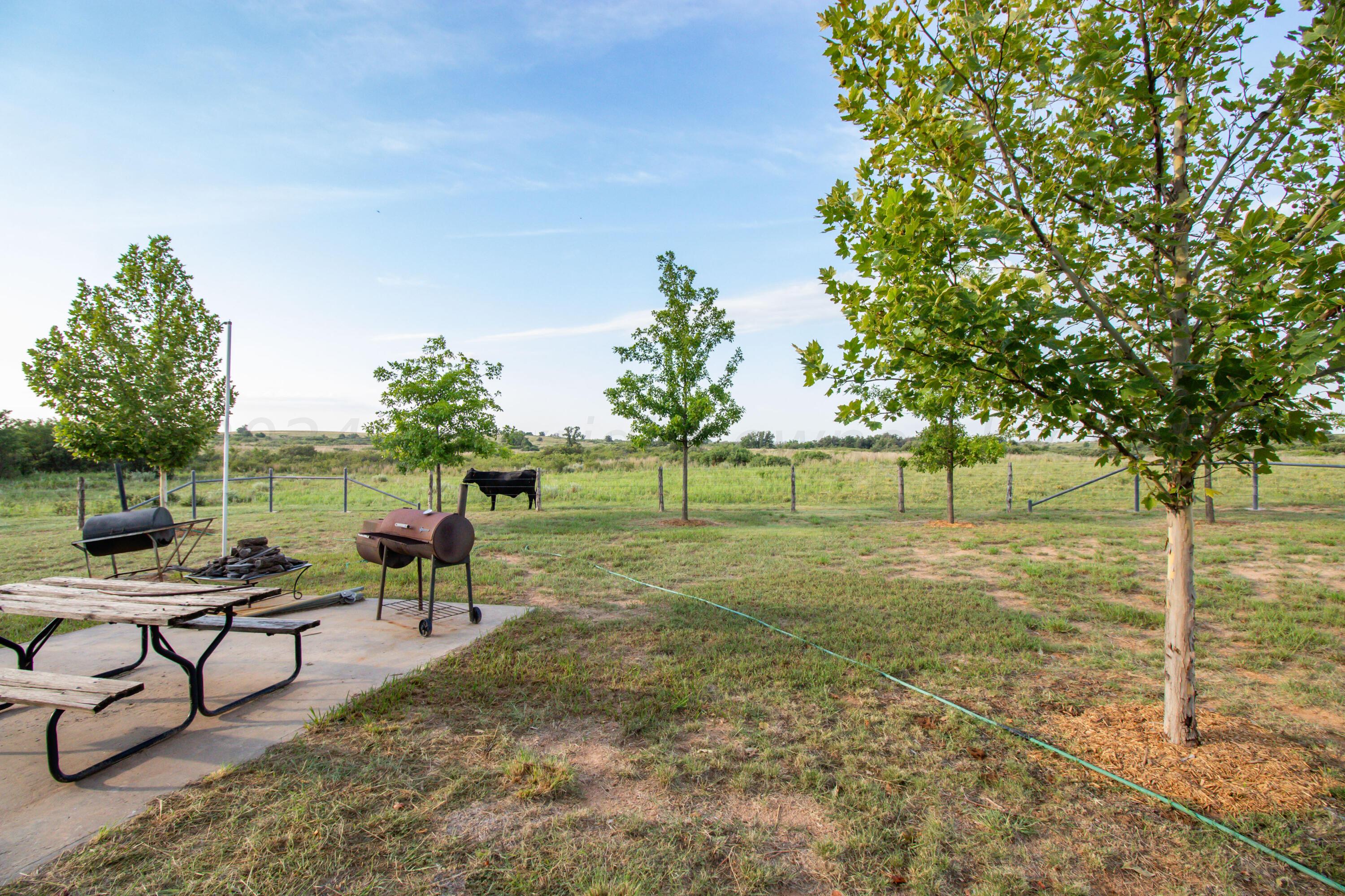 Waters Hunting Ranch, Mobeetie, Texas image 23