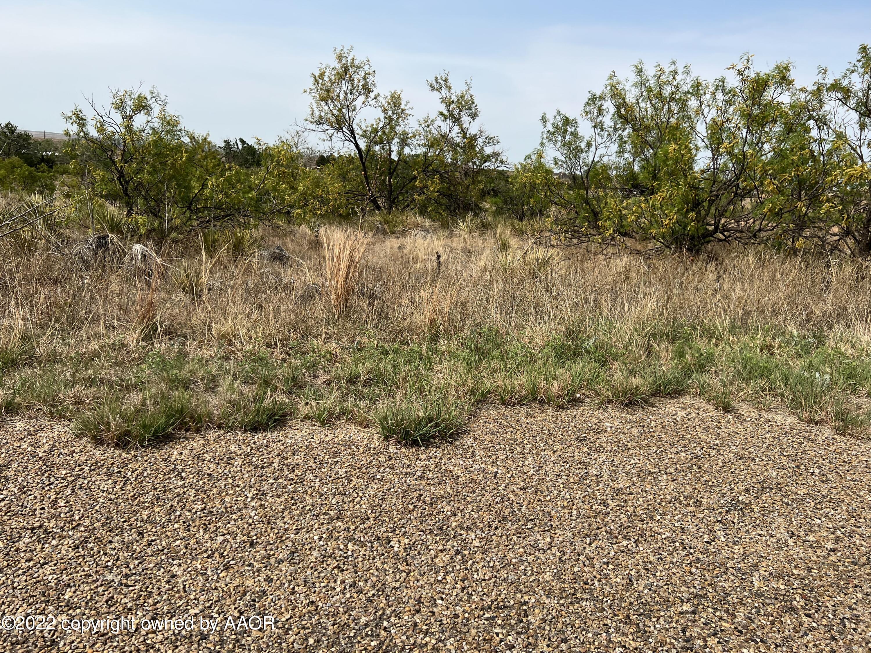 Lot 1 Blk 12 On Trinity Lane, Fritch, Texas image 5