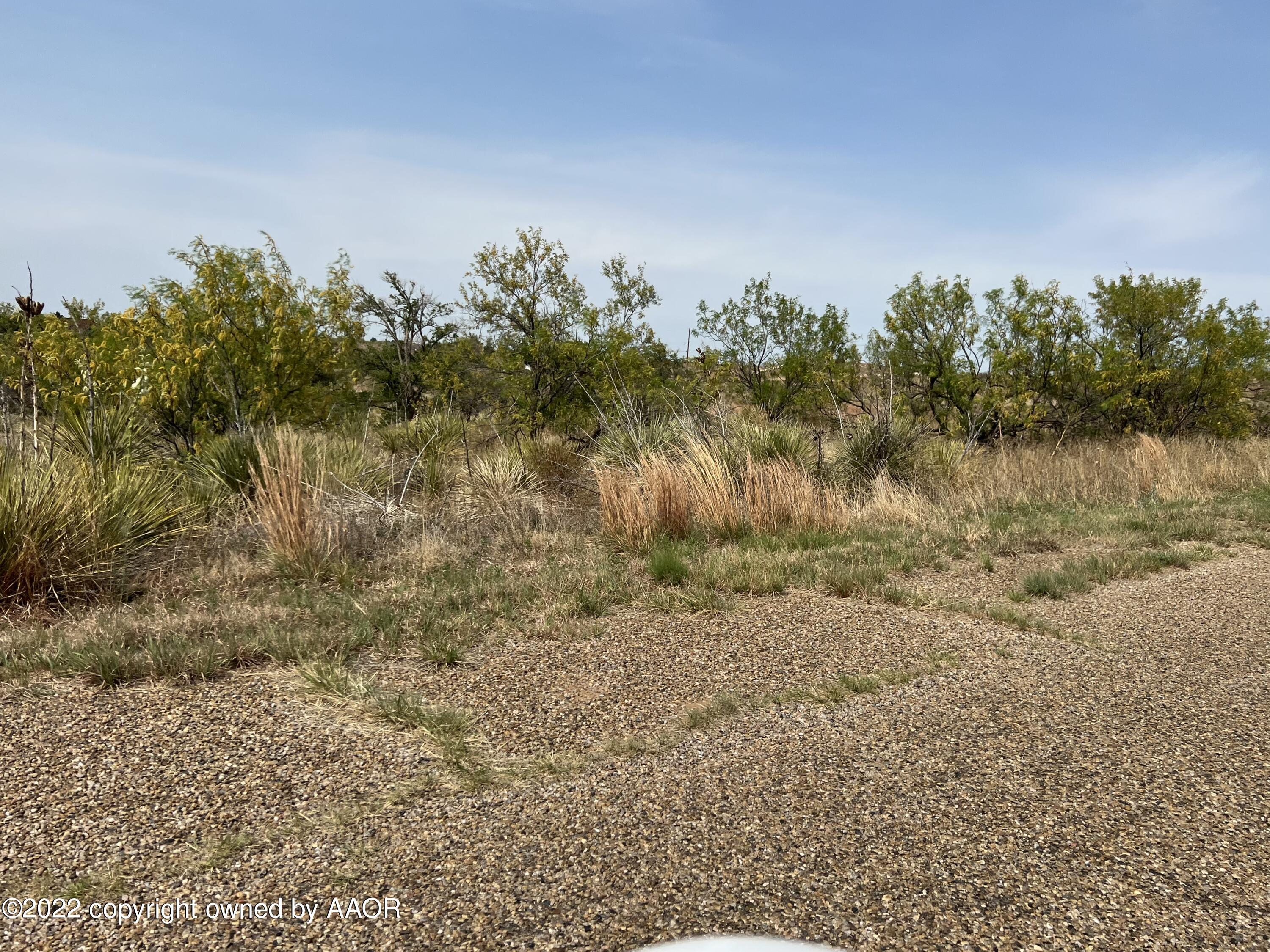 Lot 1 Blk 12 On Trinity Lane, Fritch, Texas image 4