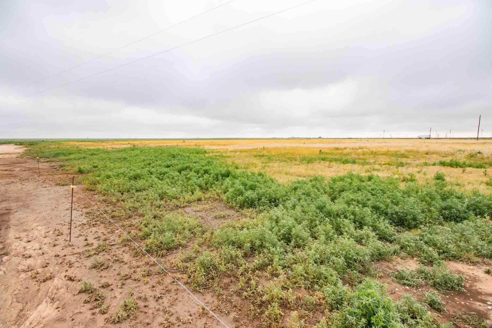 NKA N Hurst 1,320 Acres Rd, Friona, Idaho image 36
