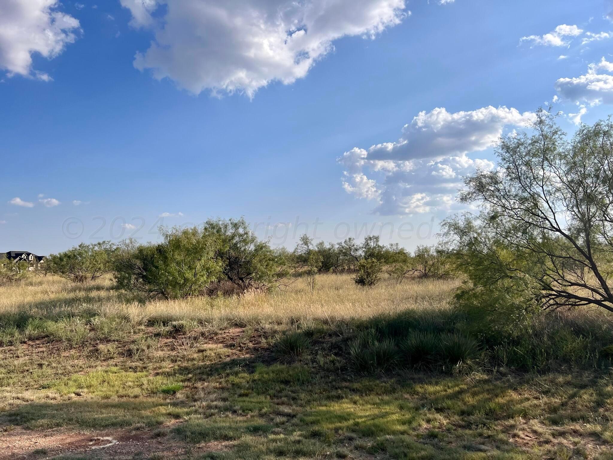 1006 Canyon Parkway, Canyon, Texas image 11