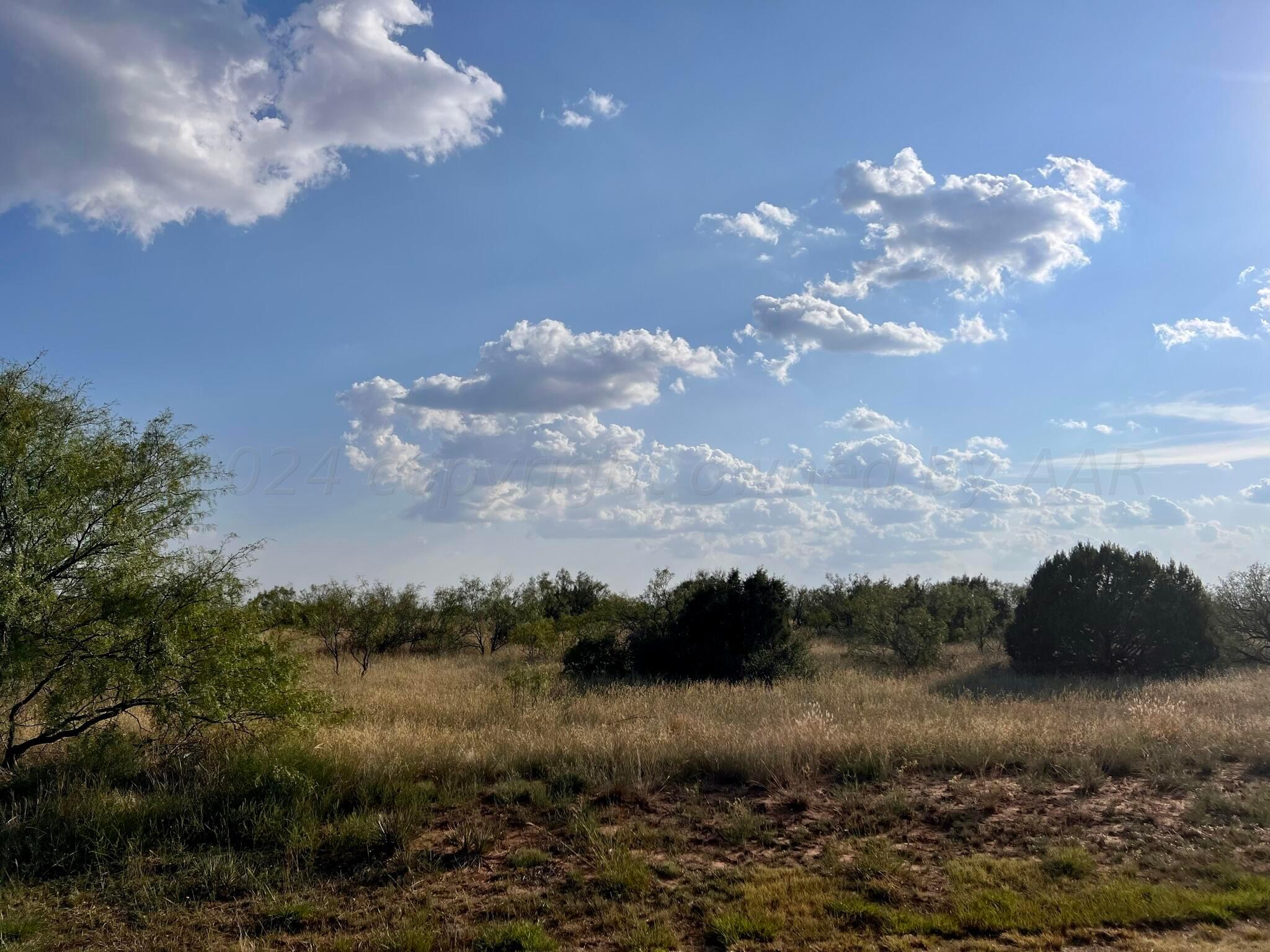 1006 Canyon Parkway, Canyon, Texas image 5