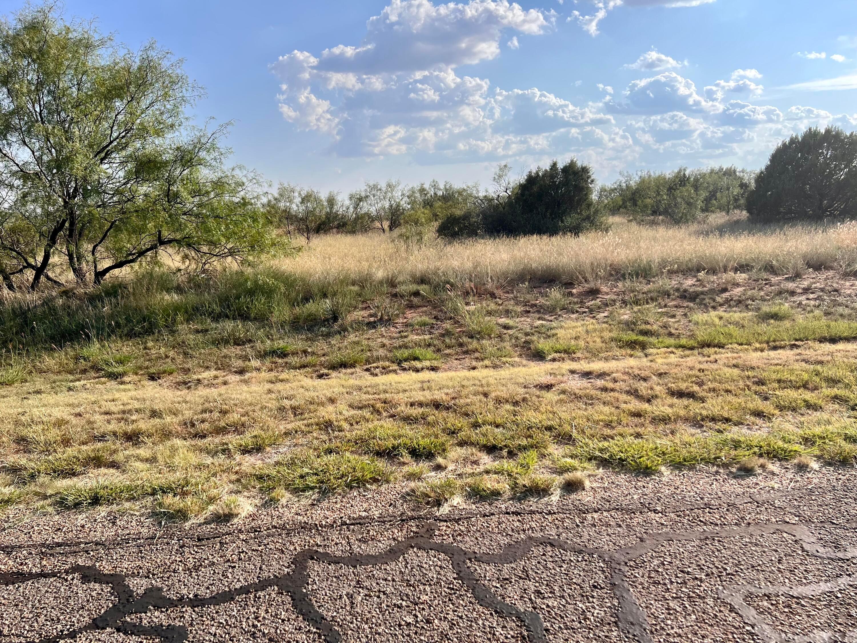 1006 Canyon Parkway, Canyon, Texas image 6