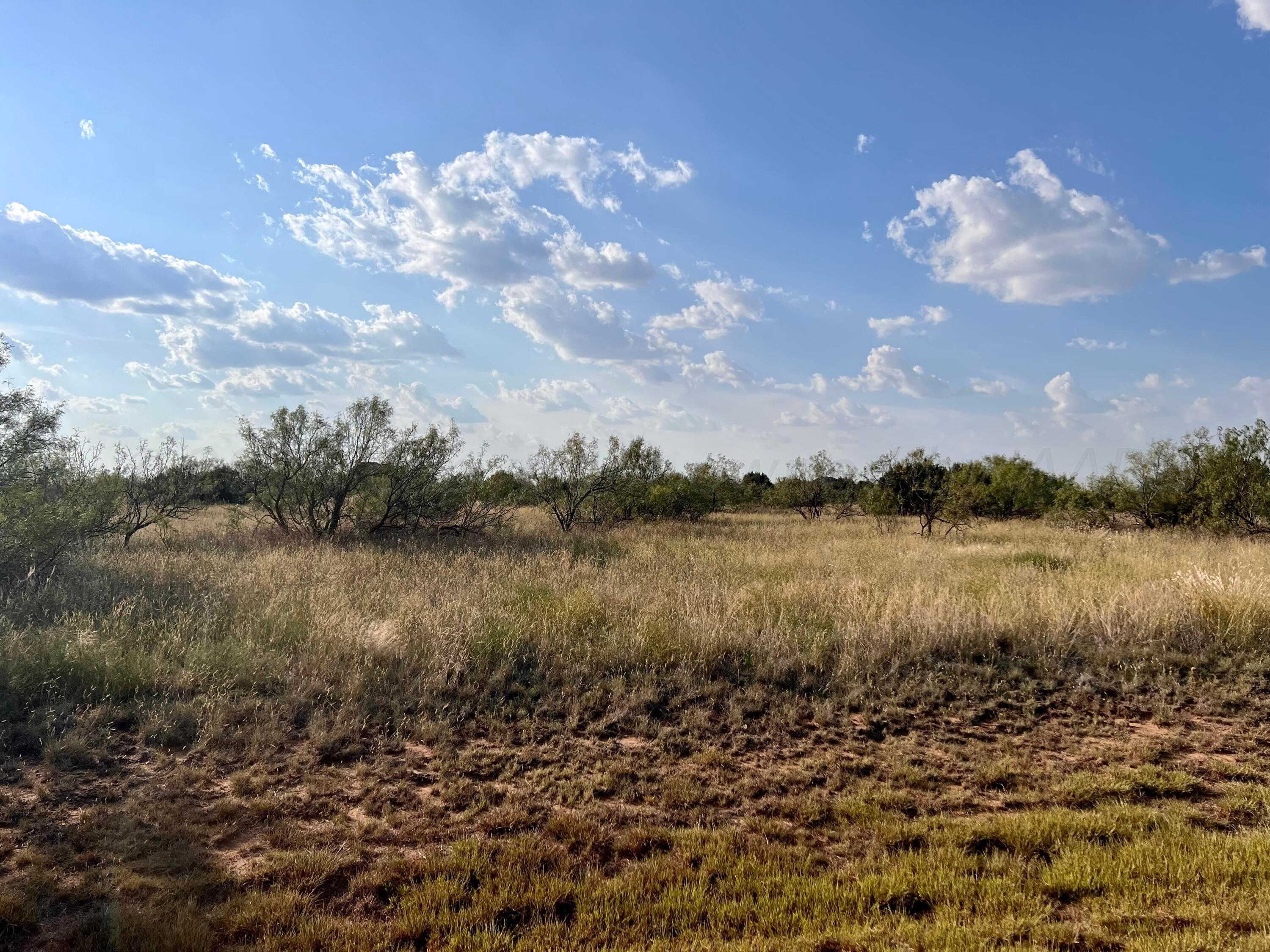 1006 Canyon Parkway, Canyon, Texas image 10