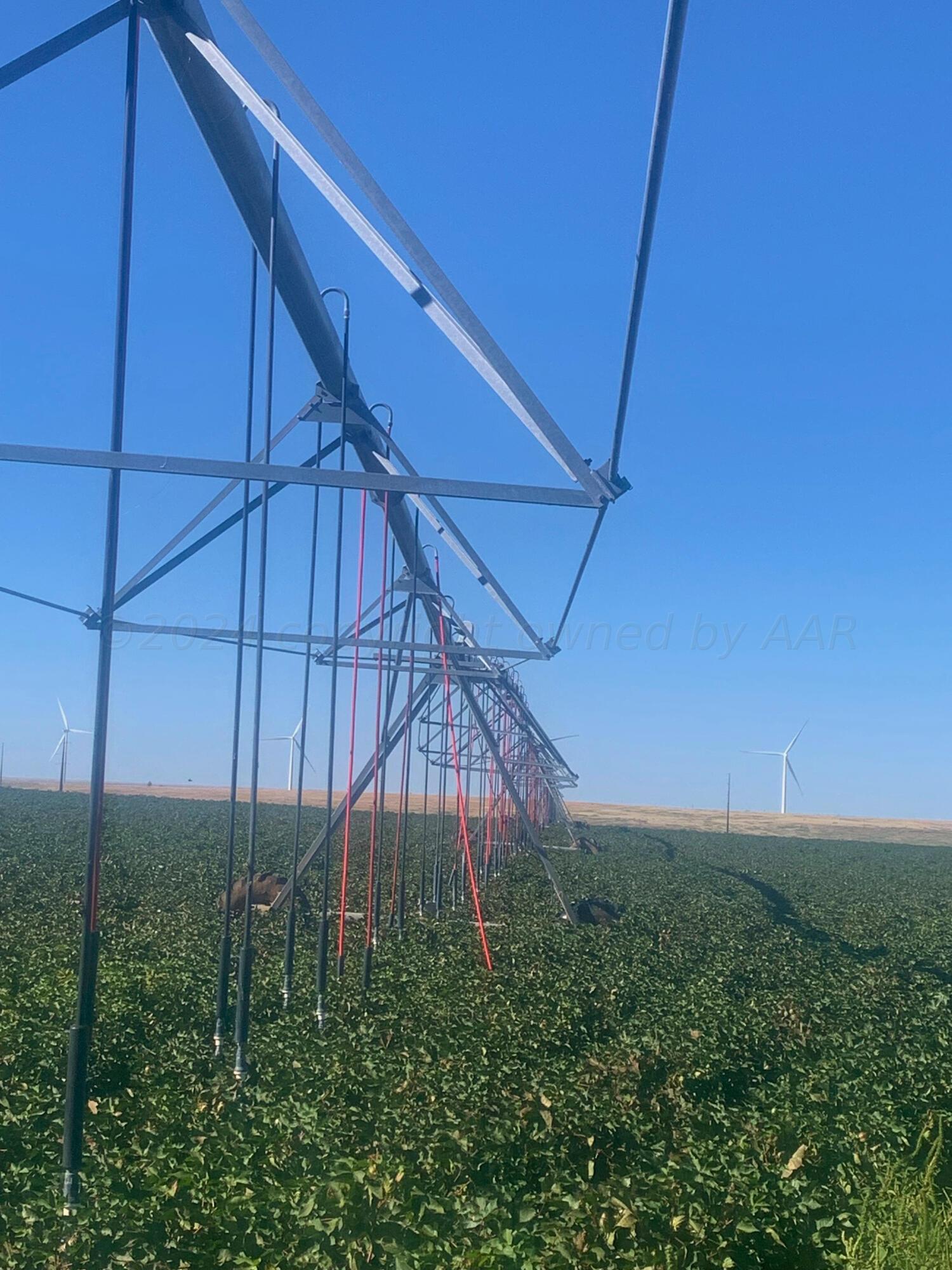 Farm, Pampa, Texas image 6