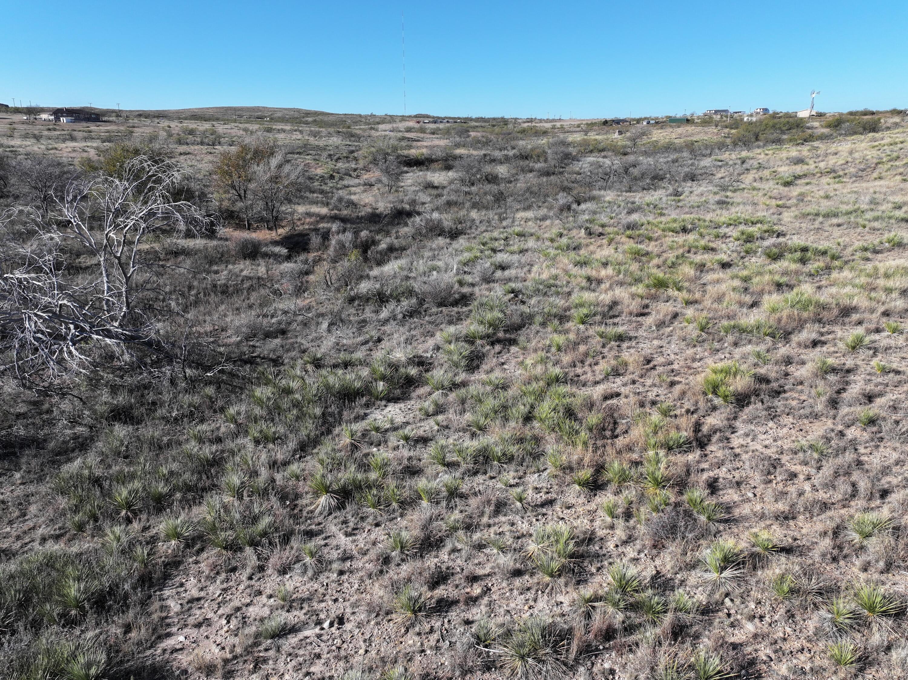 Park Circle East, Amarillo, Texas image 16