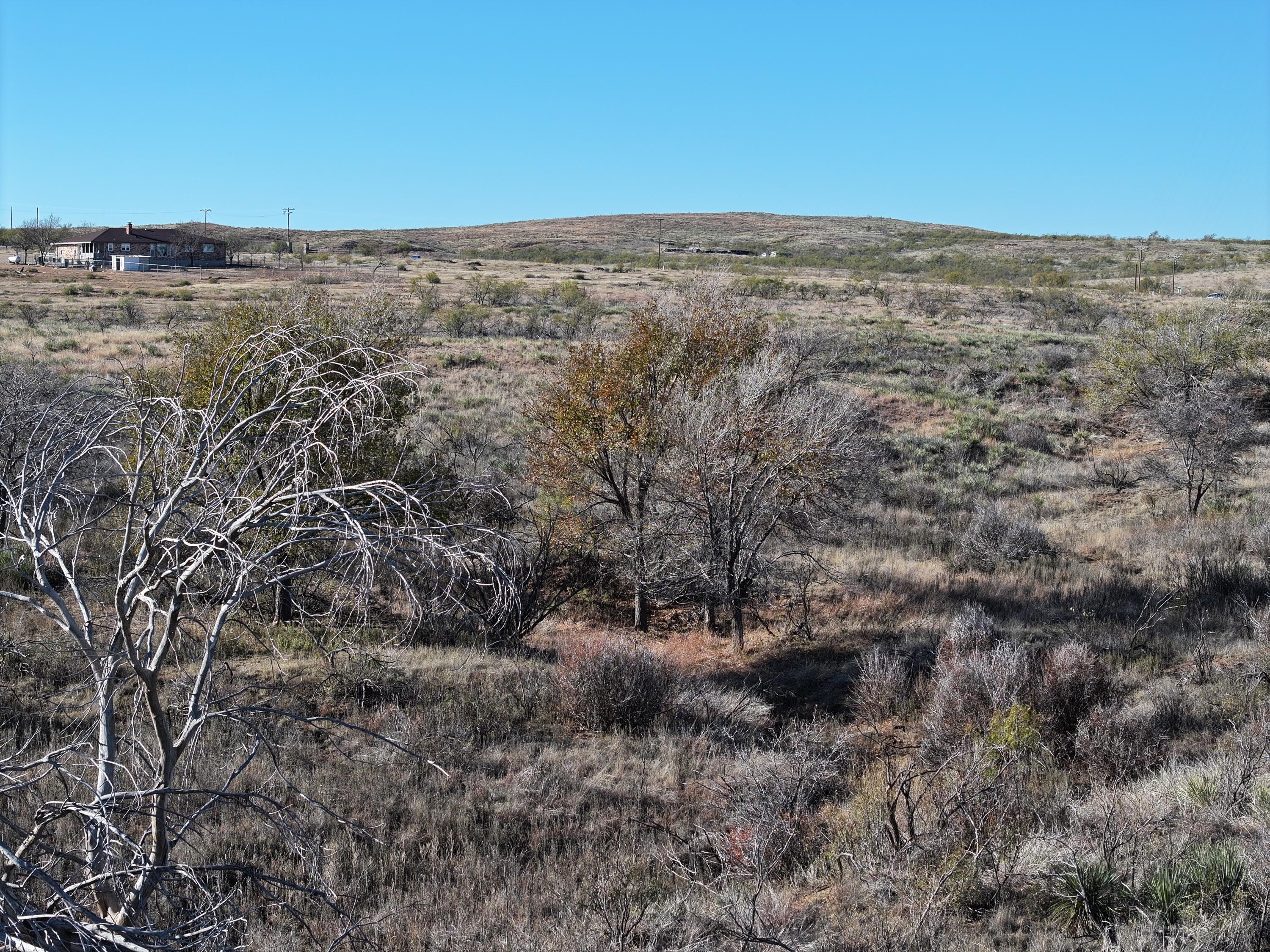 Park Circle East, Amarillo, Texas image 15