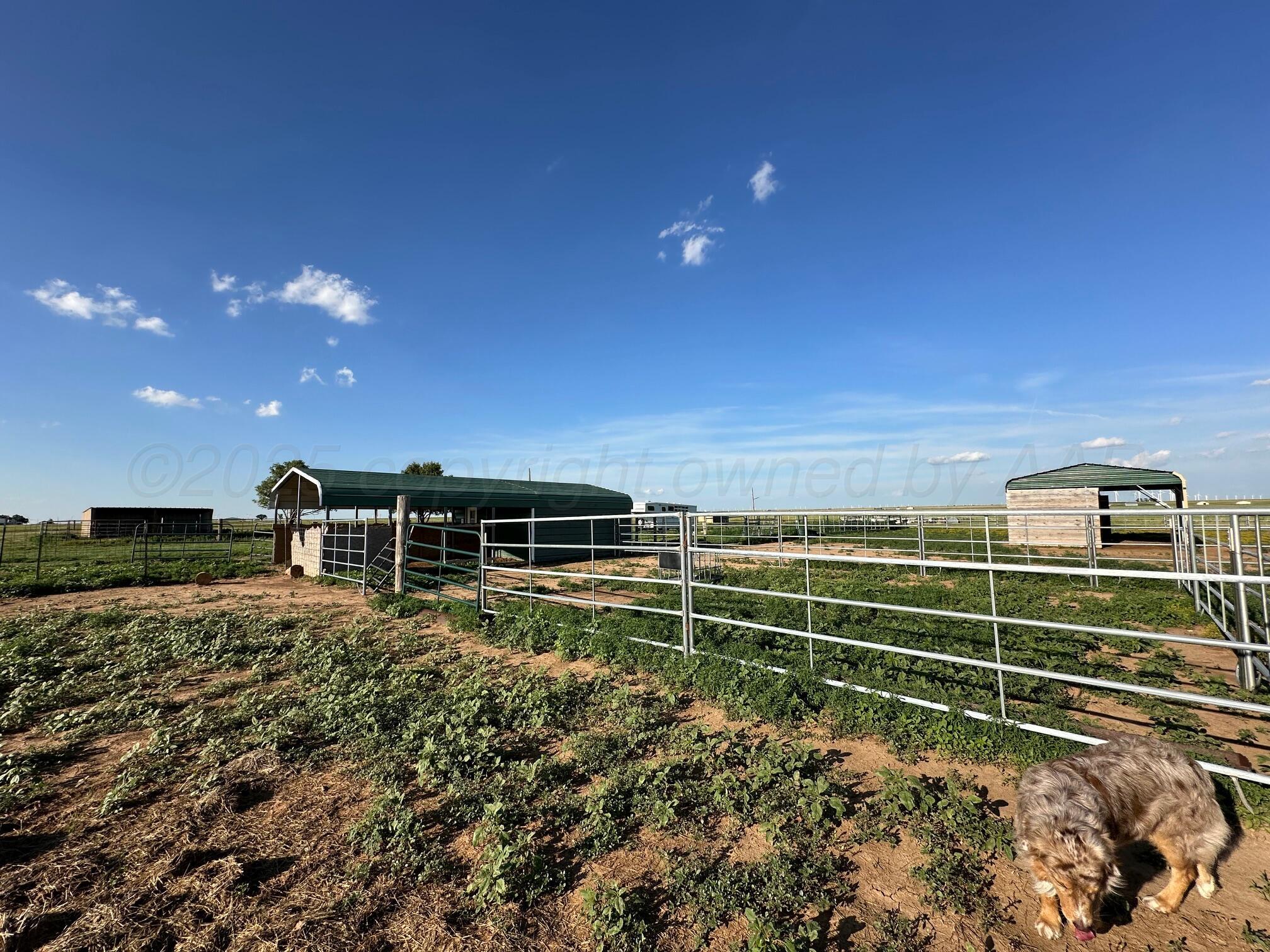 6570 Co Rd 37 Street, Vega, Idaho image 19