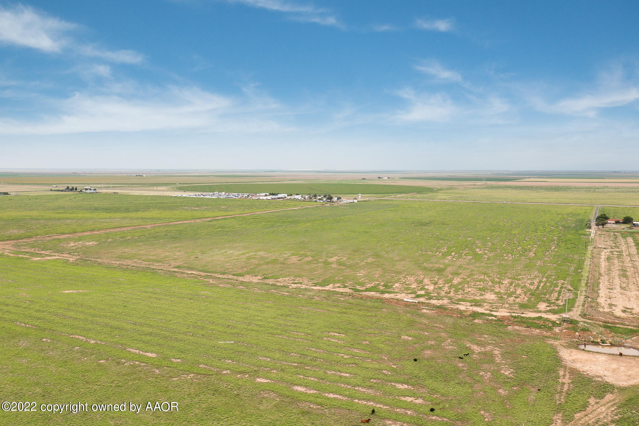 10896 Doc Holliday Drive, Dumas, Texas image 6