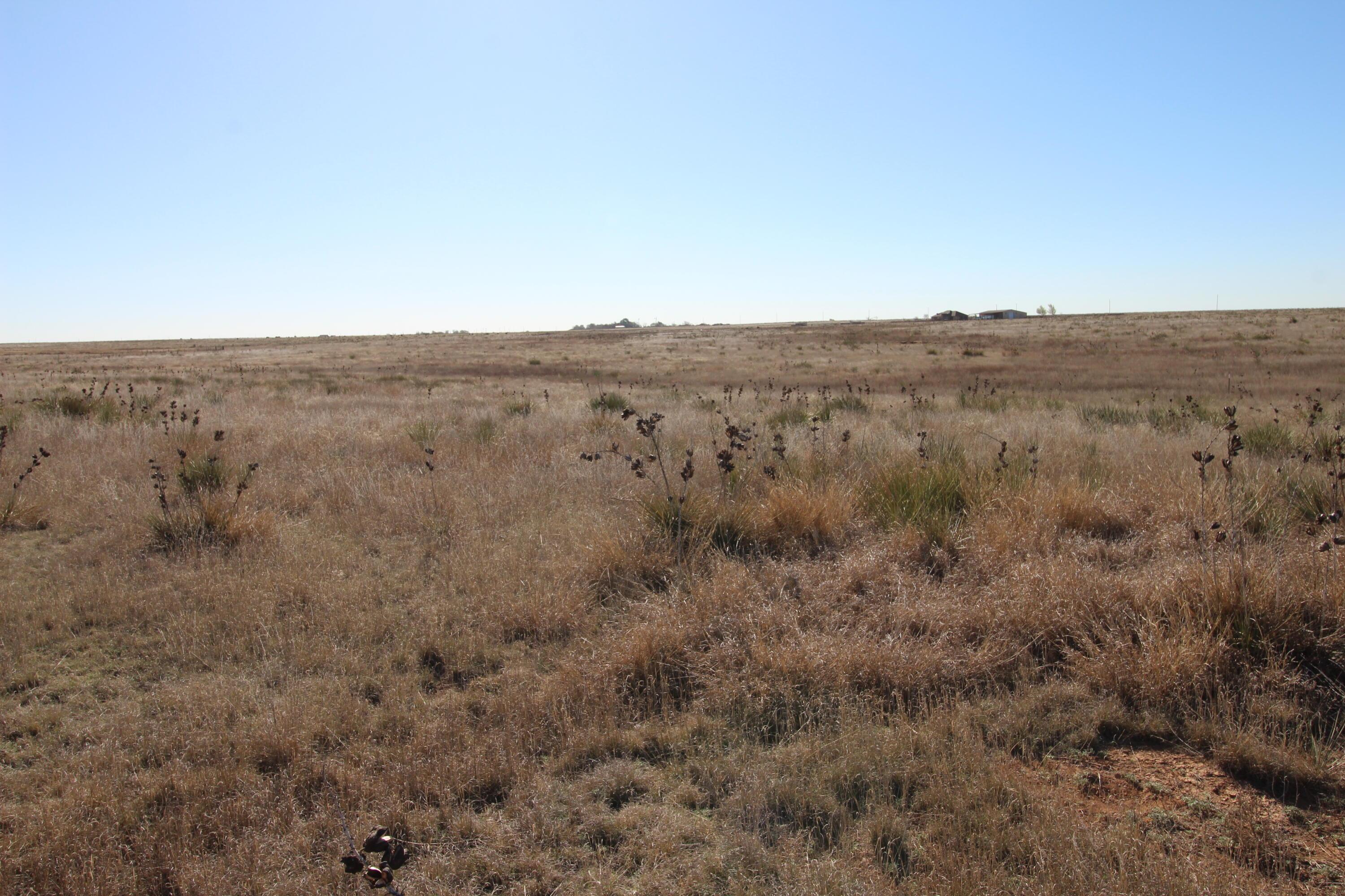 Hix Tract 60, Canyon, Texas image 6