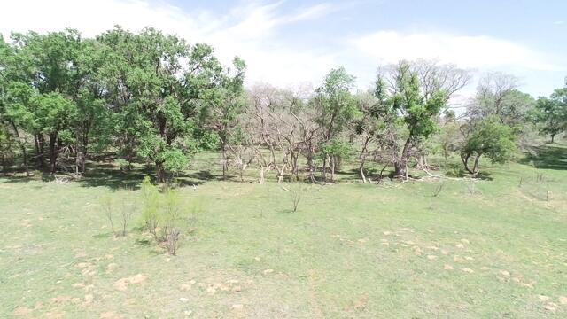 320 Acres, Quail, Alaska image 10