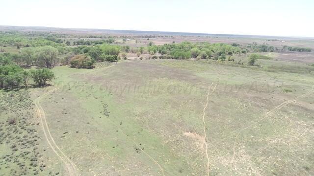 320 Acres, Quail, Alaska image 11