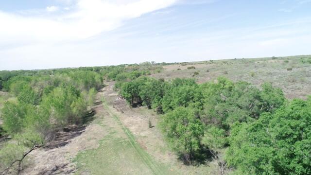 320 Acres, Quail, Alaska image 6