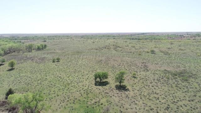 320 Acres, Quail, Alaska image 19