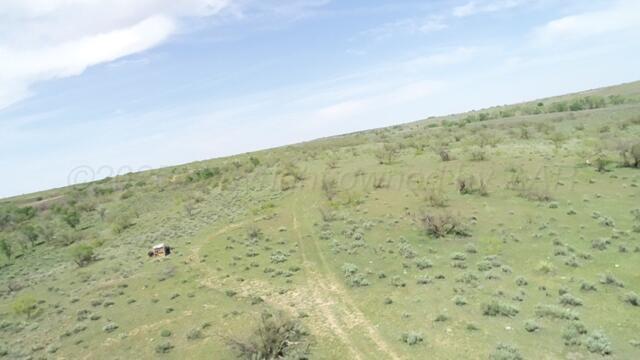 320 Acres, Quail, Alaska image 5
