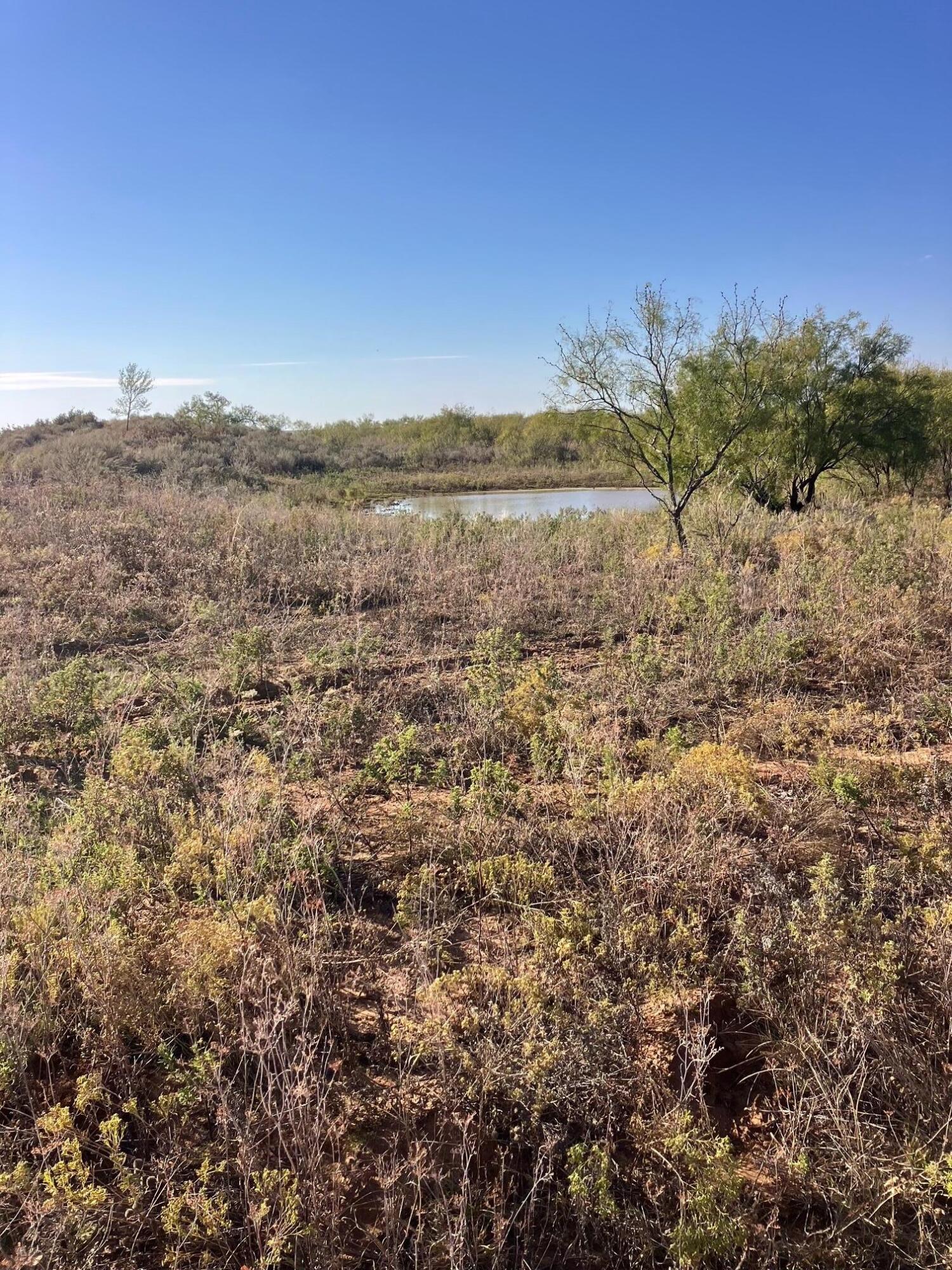 320 Acres, Quail, Alaska image 22