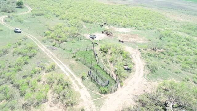 320 Acres, Quail, Alaska image 12