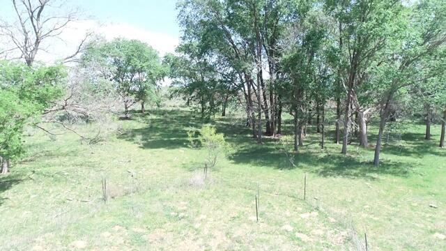 320 Acres, Quail, Alaska image 8
