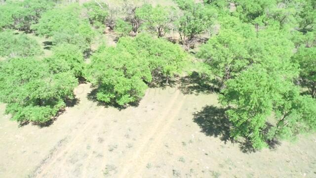 320 Acres, Quail, Alaska image 4