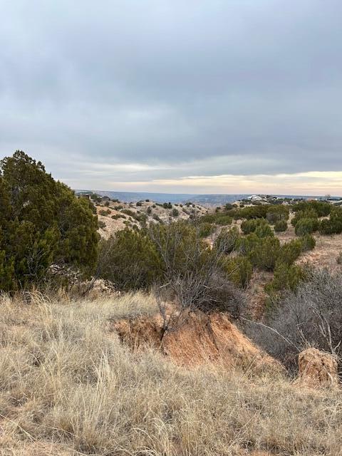 10450 Indian Camp Trail, Canyon, Texas image 5