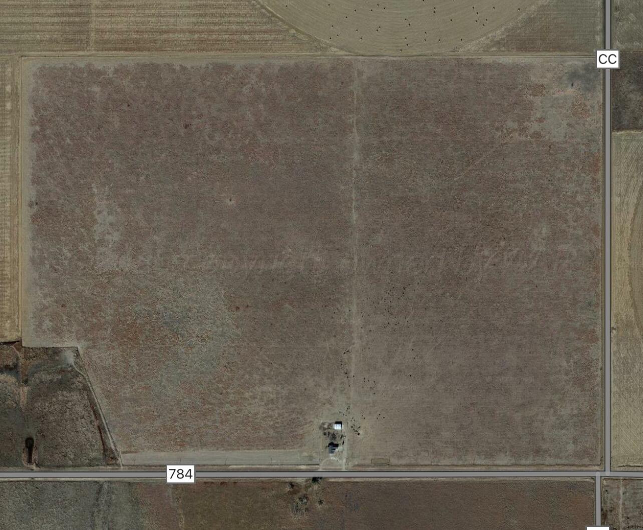 2772 Fm 784 Landing, Plainview, Idaho image 2