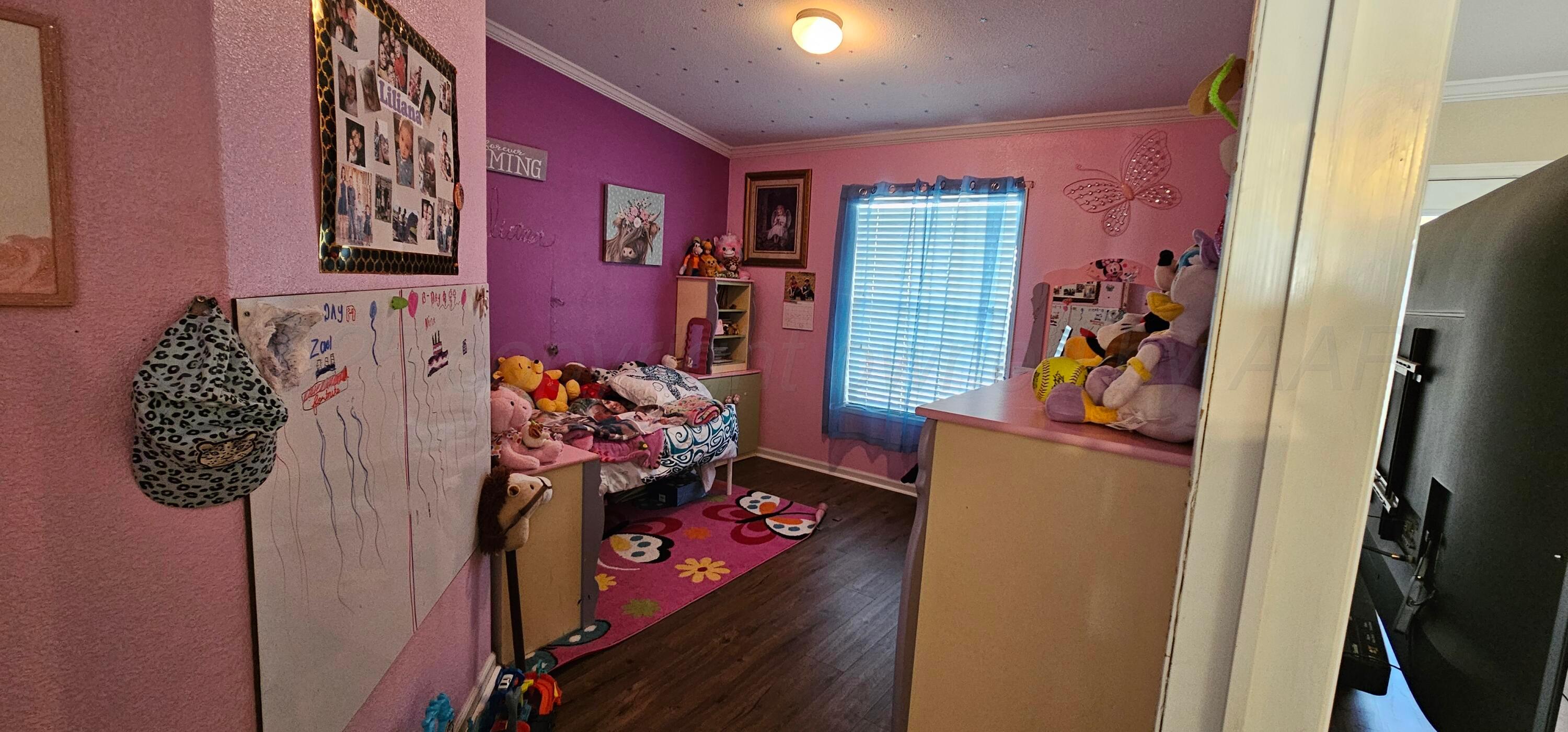3821 County Road M Way, Hartley, Alaska image 15