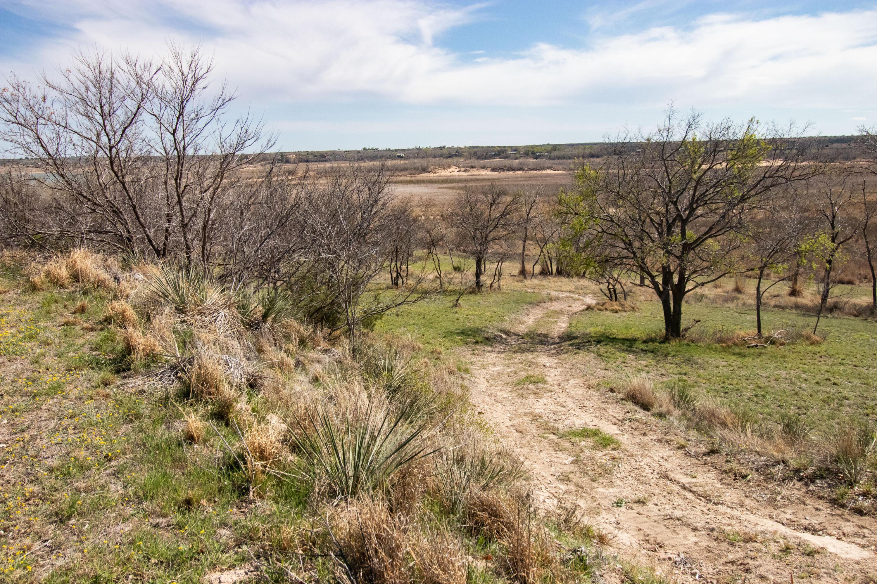 401 Ten Bears Trail, Howardwick, Idaho image 48