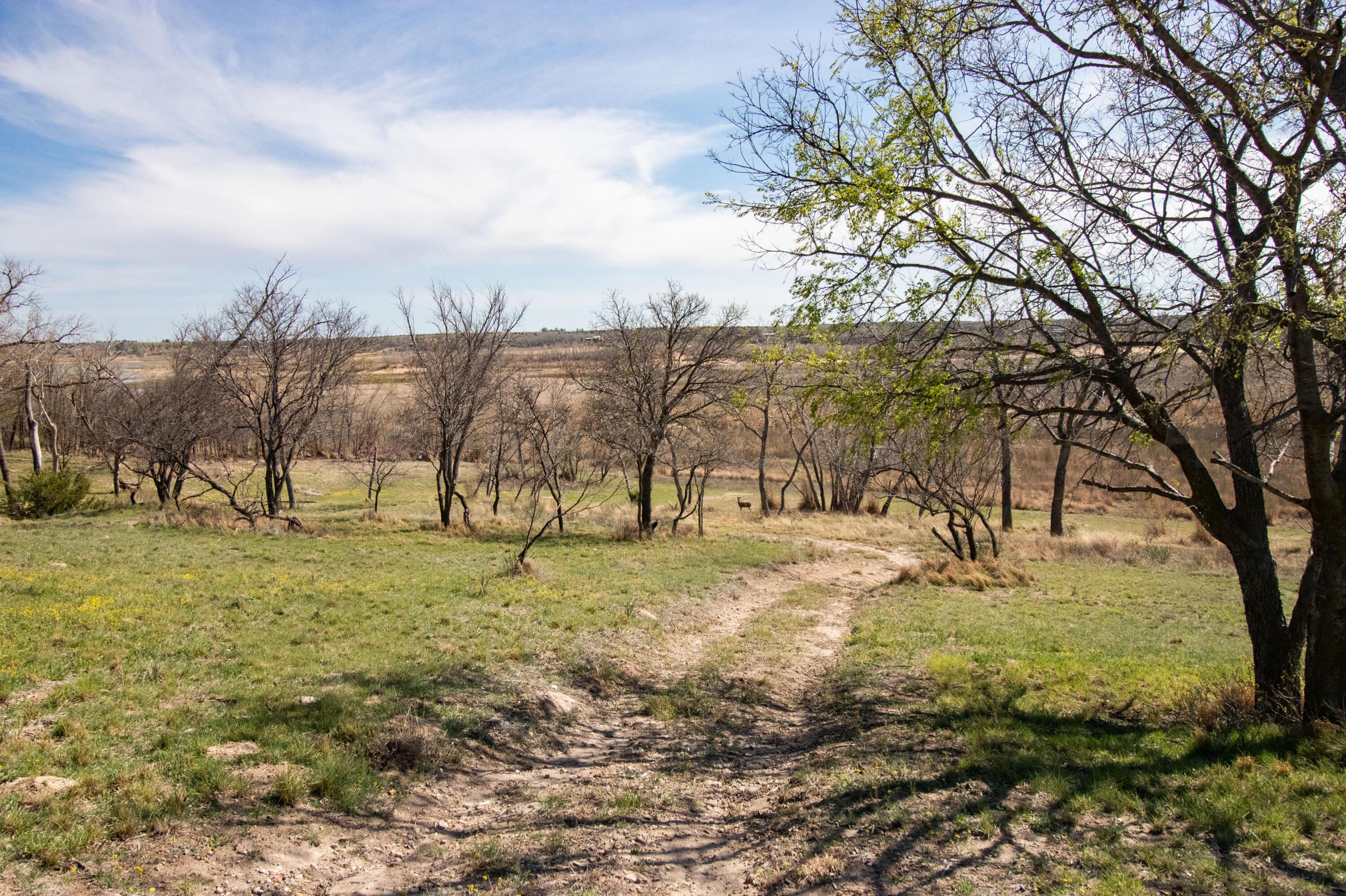 401 Ten Bears Trail, Howardwick, Idaho image 49