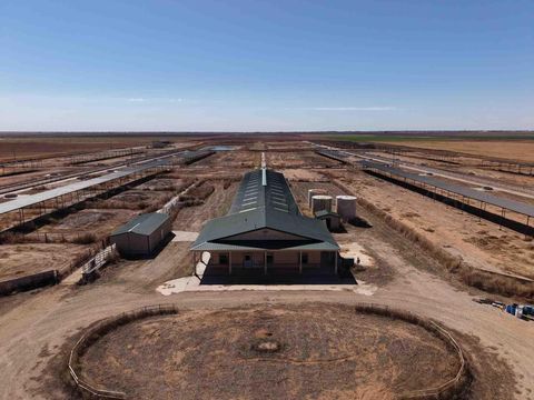 Vacant Land For Sale - Cal Star Dairy<br/> Brownfield, TX 79316