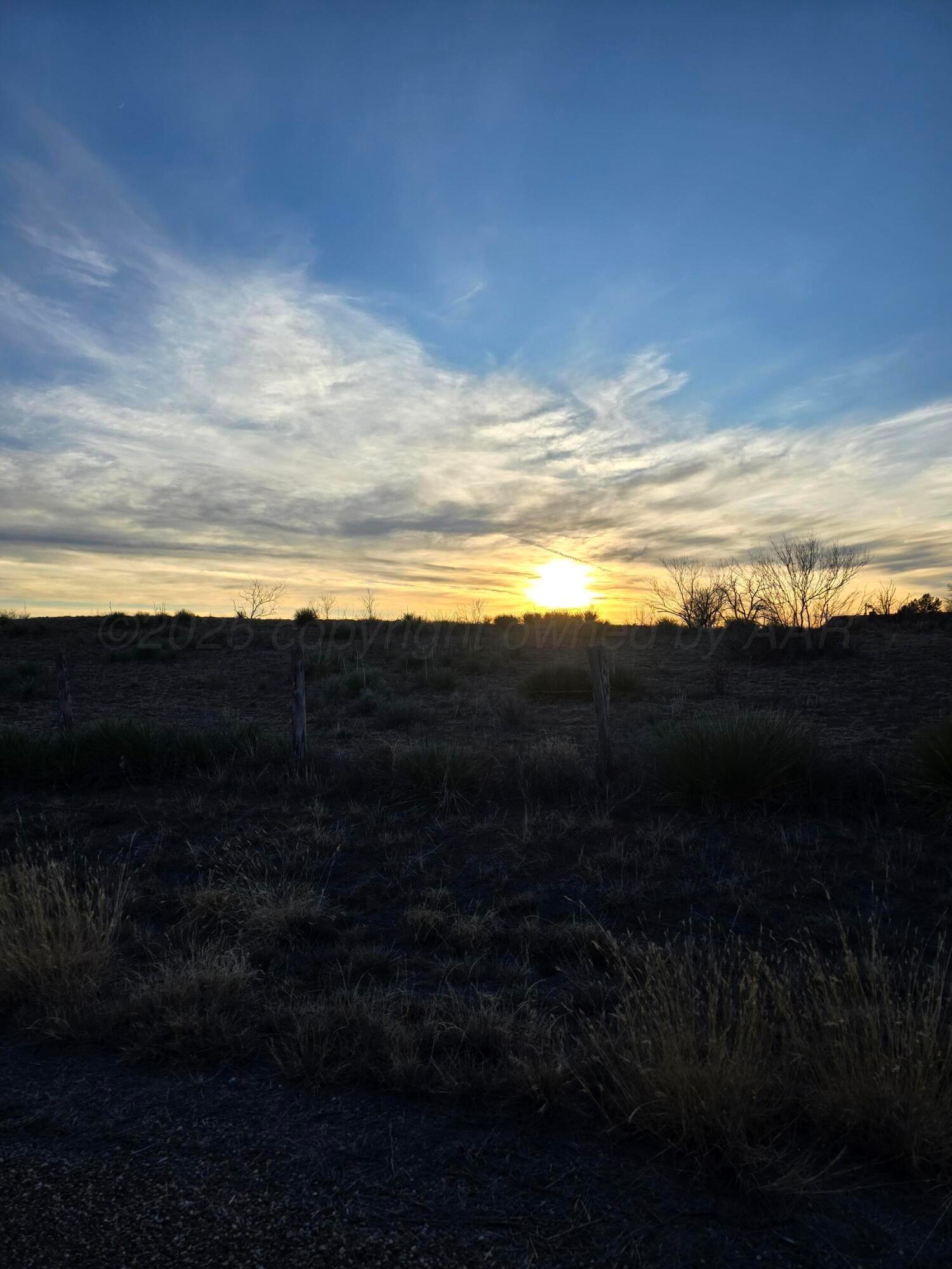 33400 Sierrita Circle, Boys Ranch, Texas image 40