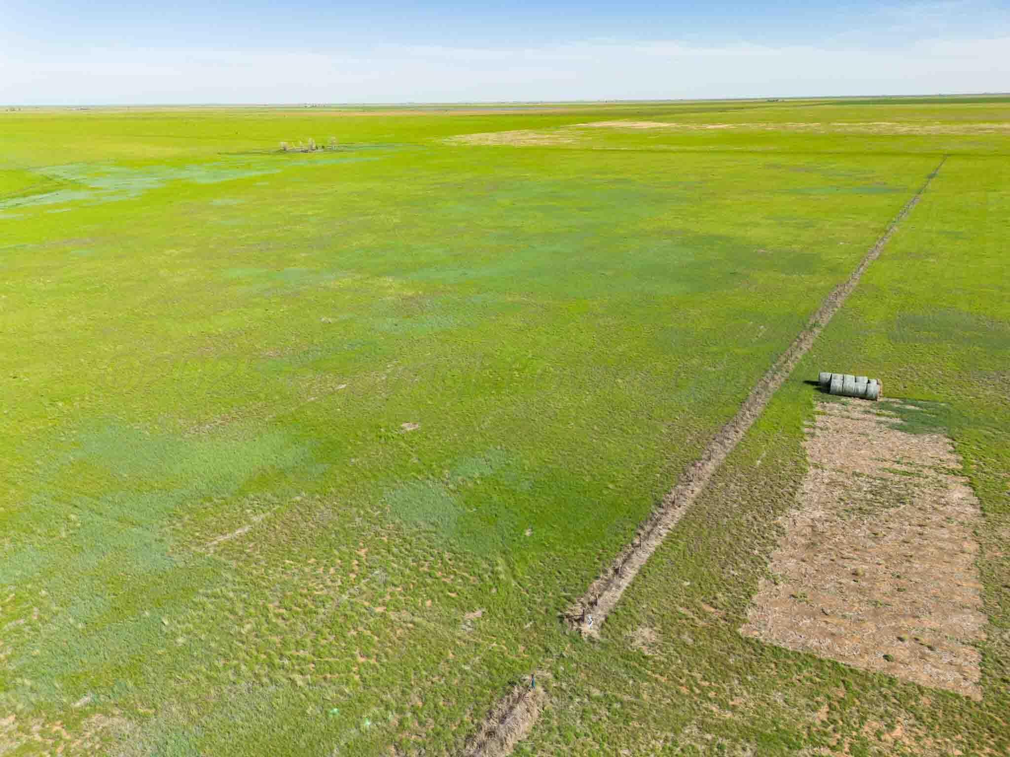 14344 N Red Tail Ln. 131 Acre Homesite Circle, Canyon, Alaska image 9