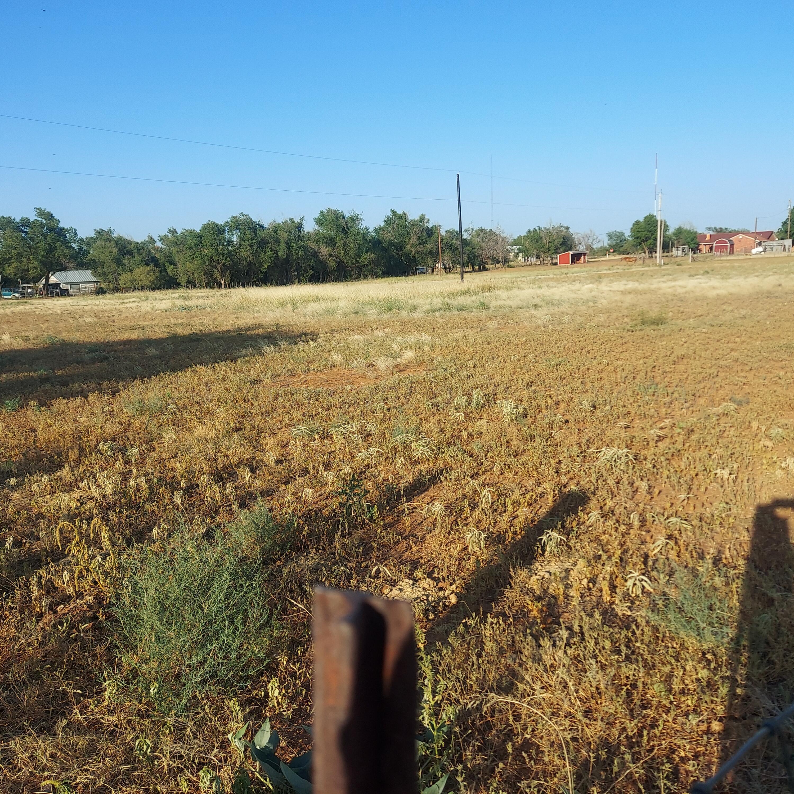 1000 Avenue C Ne, Childress, Texas image 8