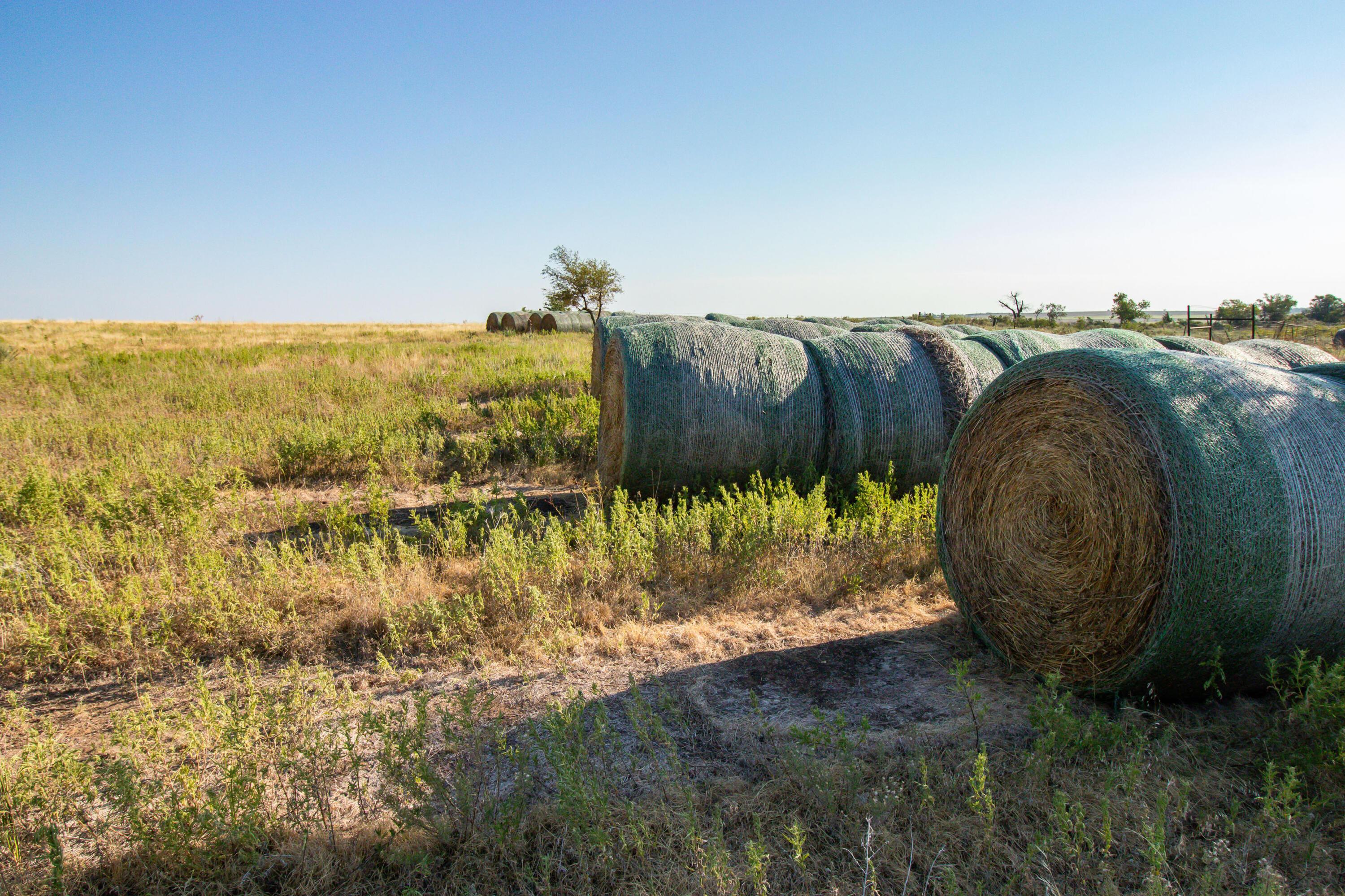 County Road 28, McLean, Texas image 18