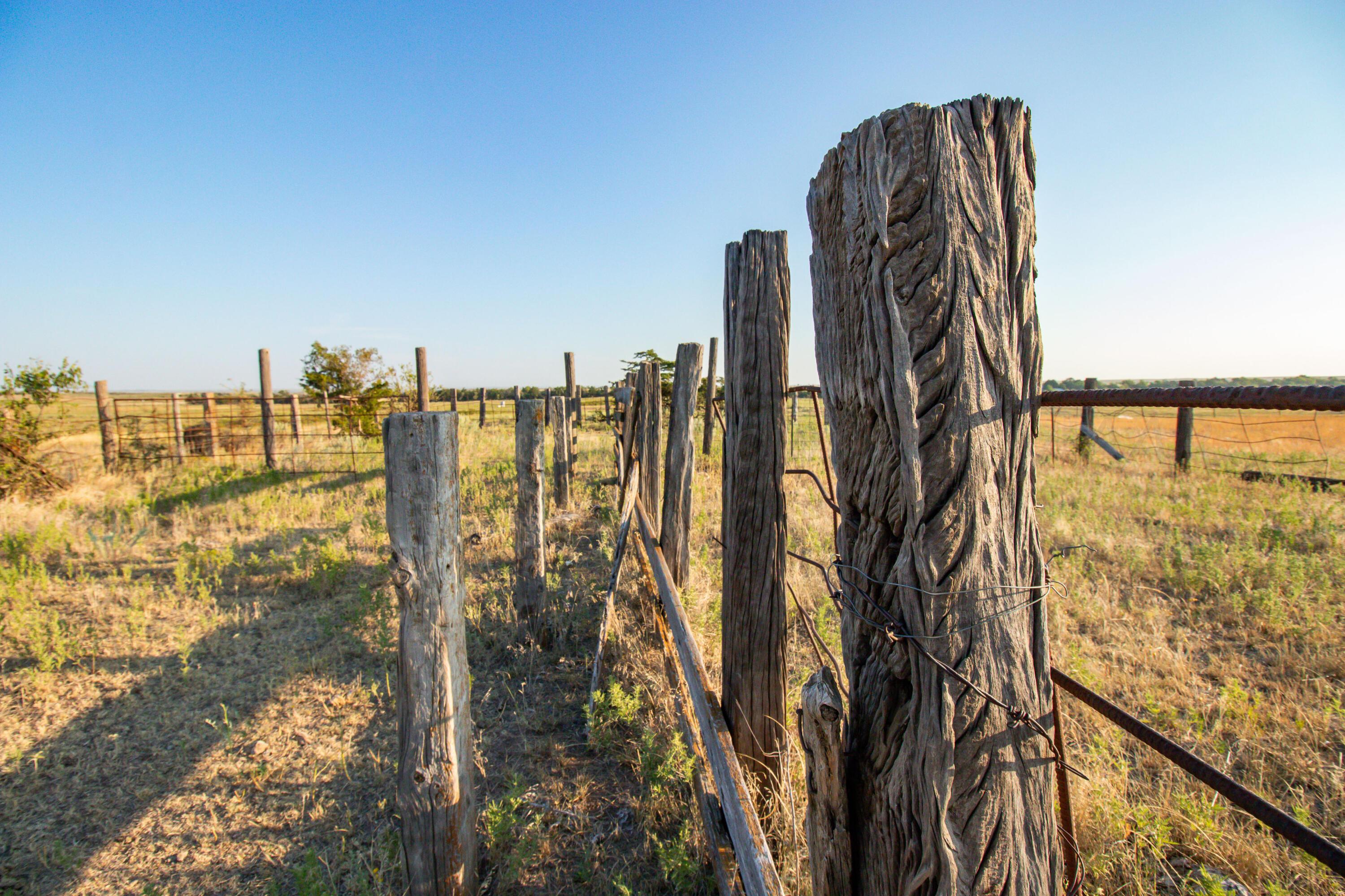 County Road 28, McLean, Texas image 15