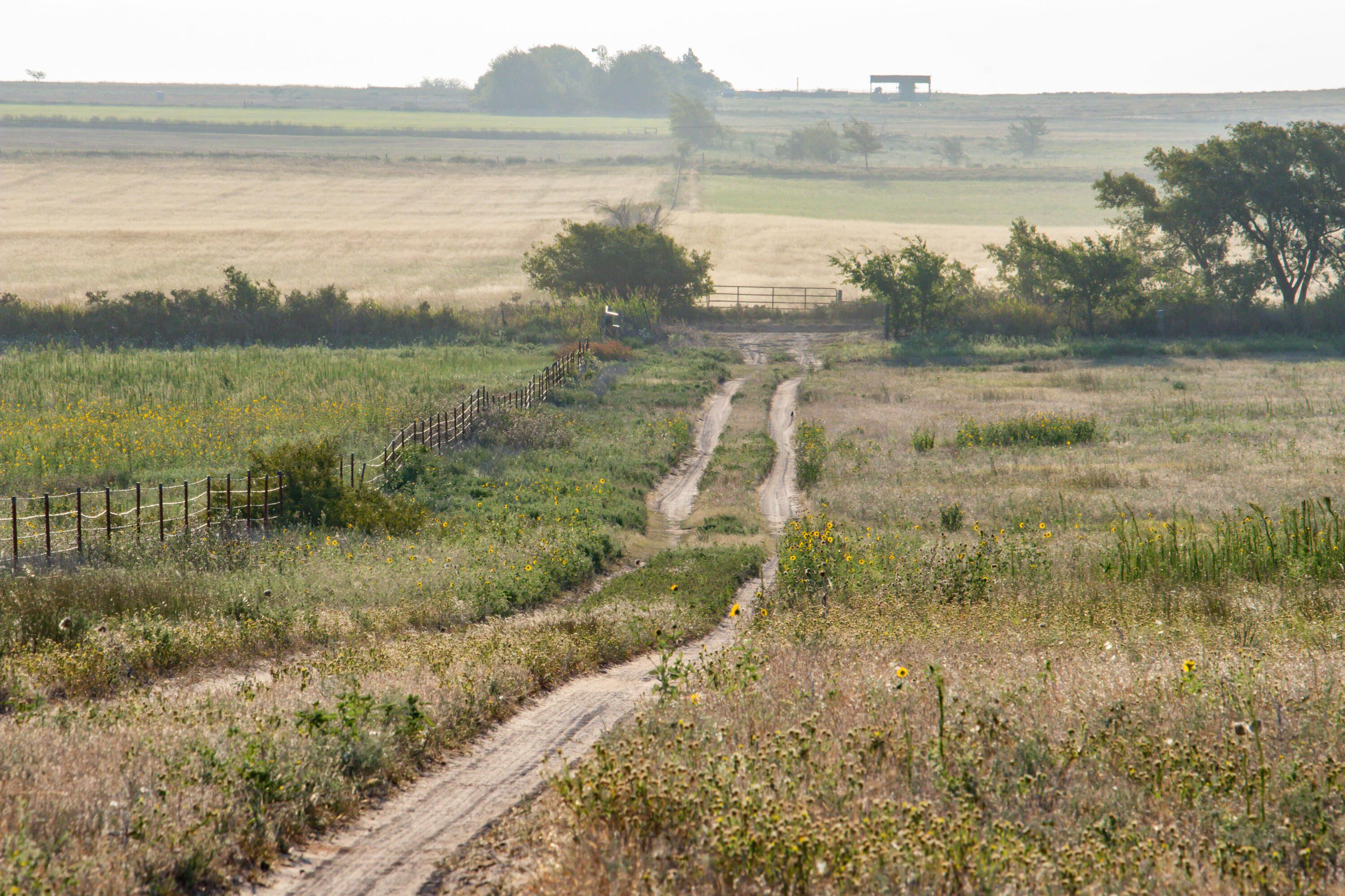 County Road 28, McLean, Texas image 3