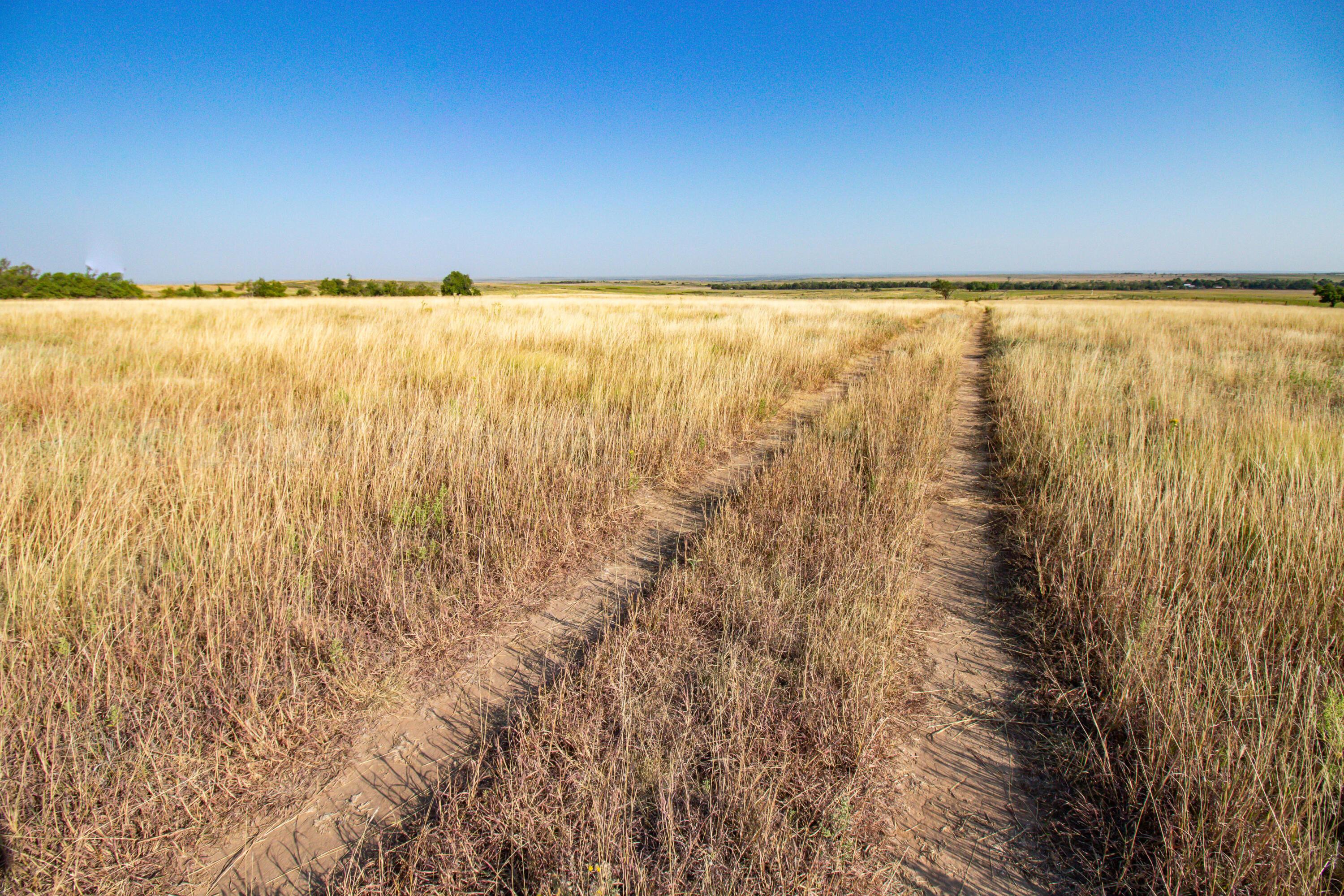 County Road 28, McLean, Texas image 20