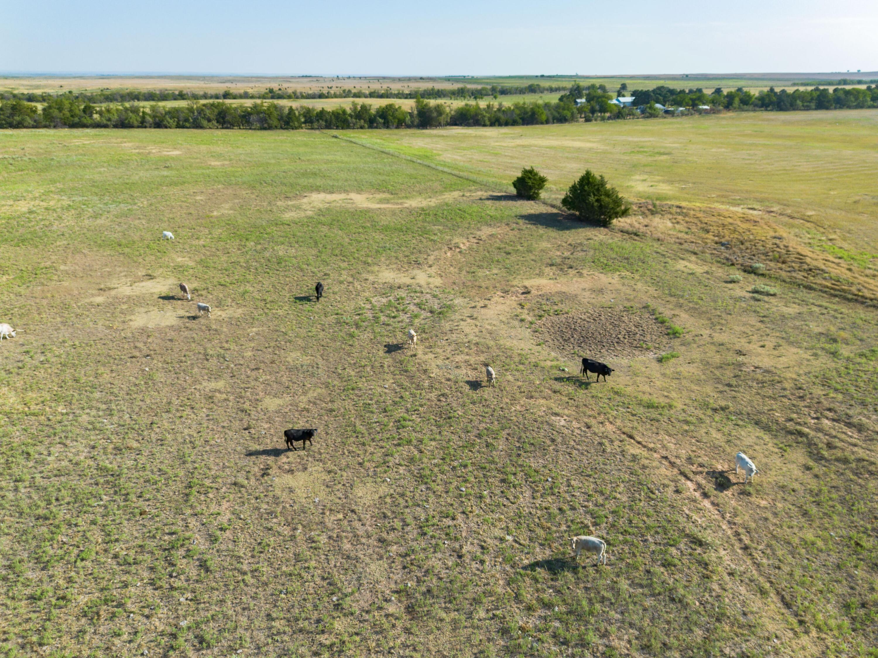 County Road 28, McLean, Texas image 29