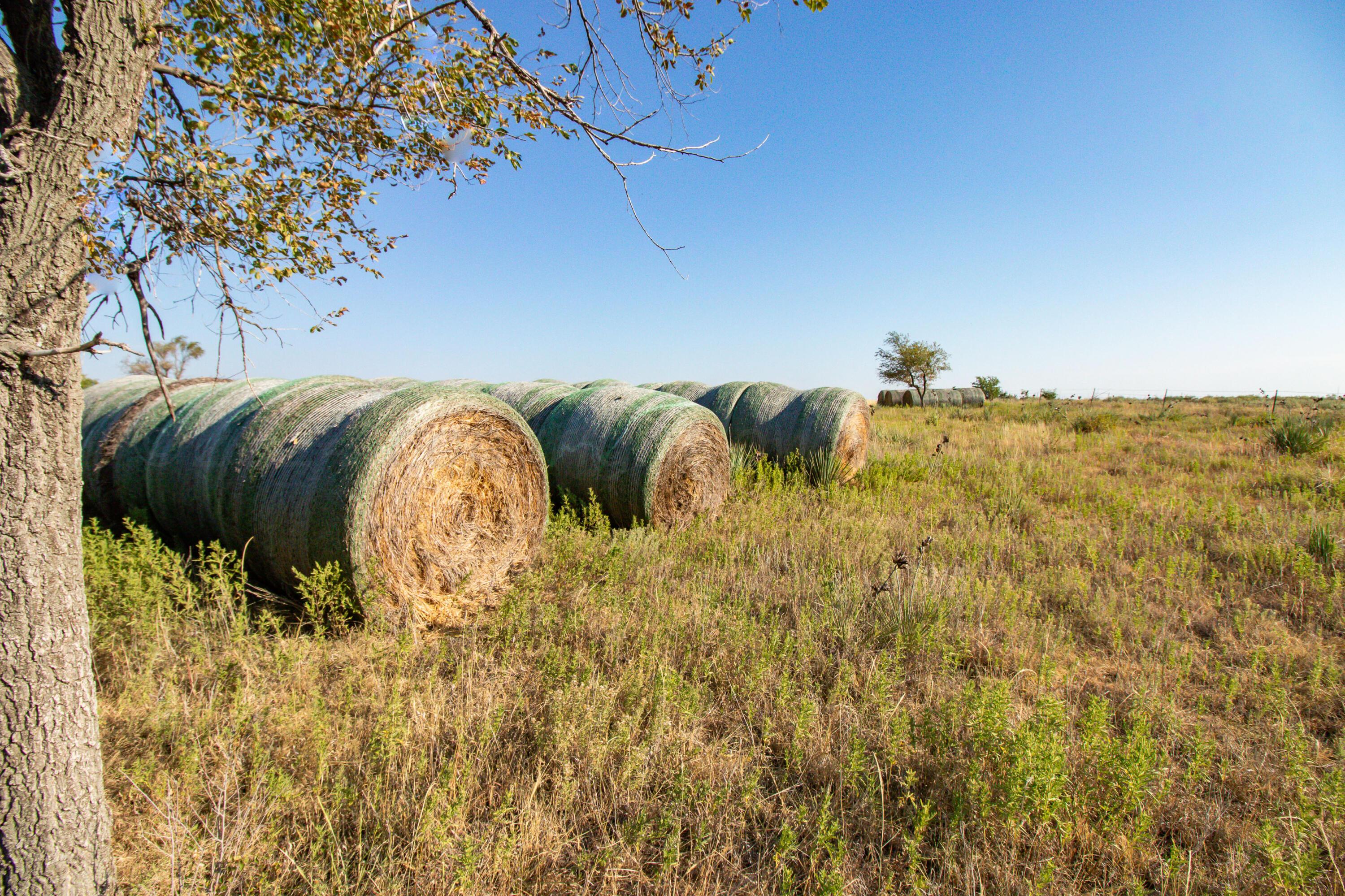 County Road 28, McLean, Texas image 19