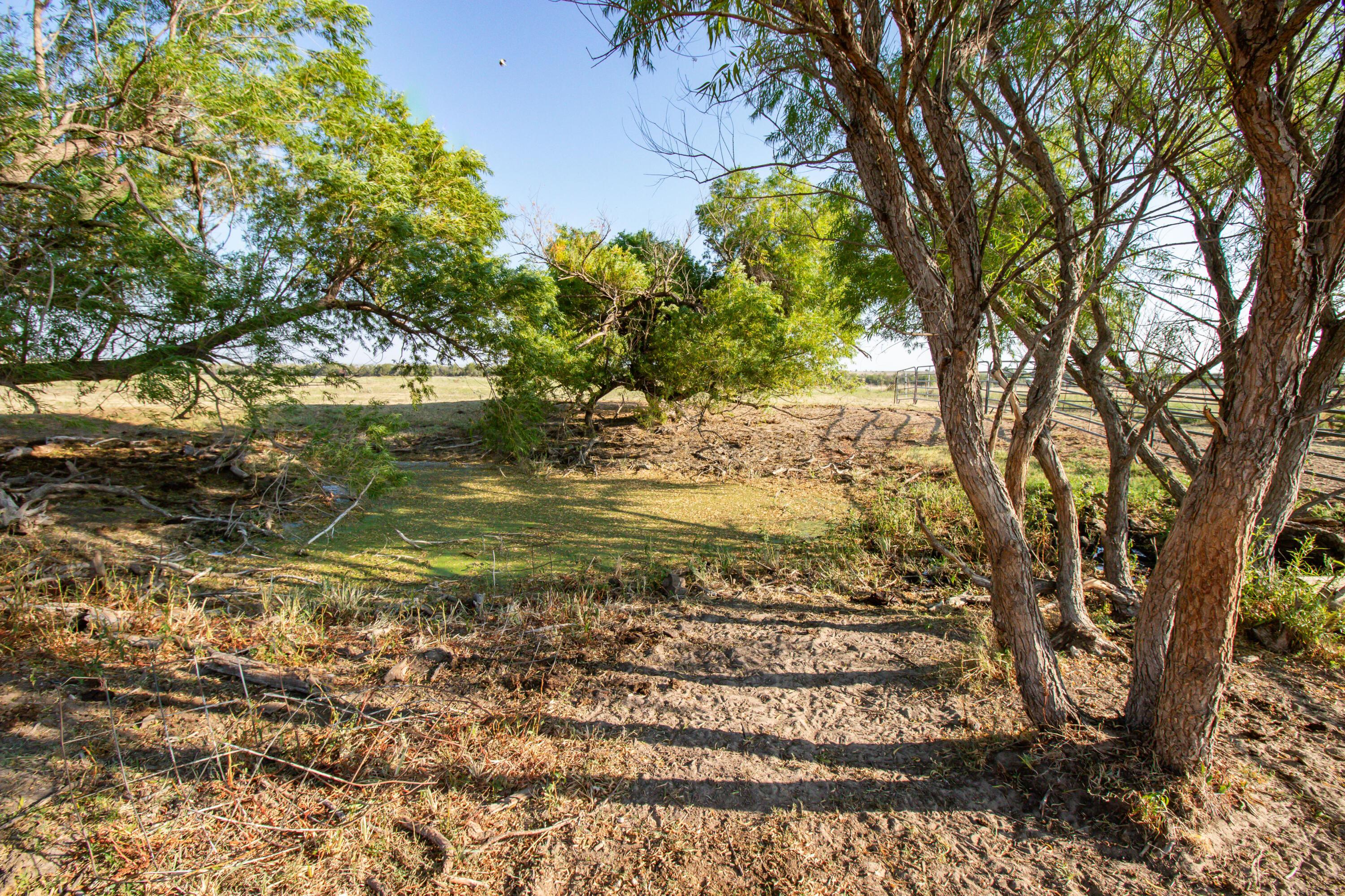 County Road 28, McLean, Texas image 16