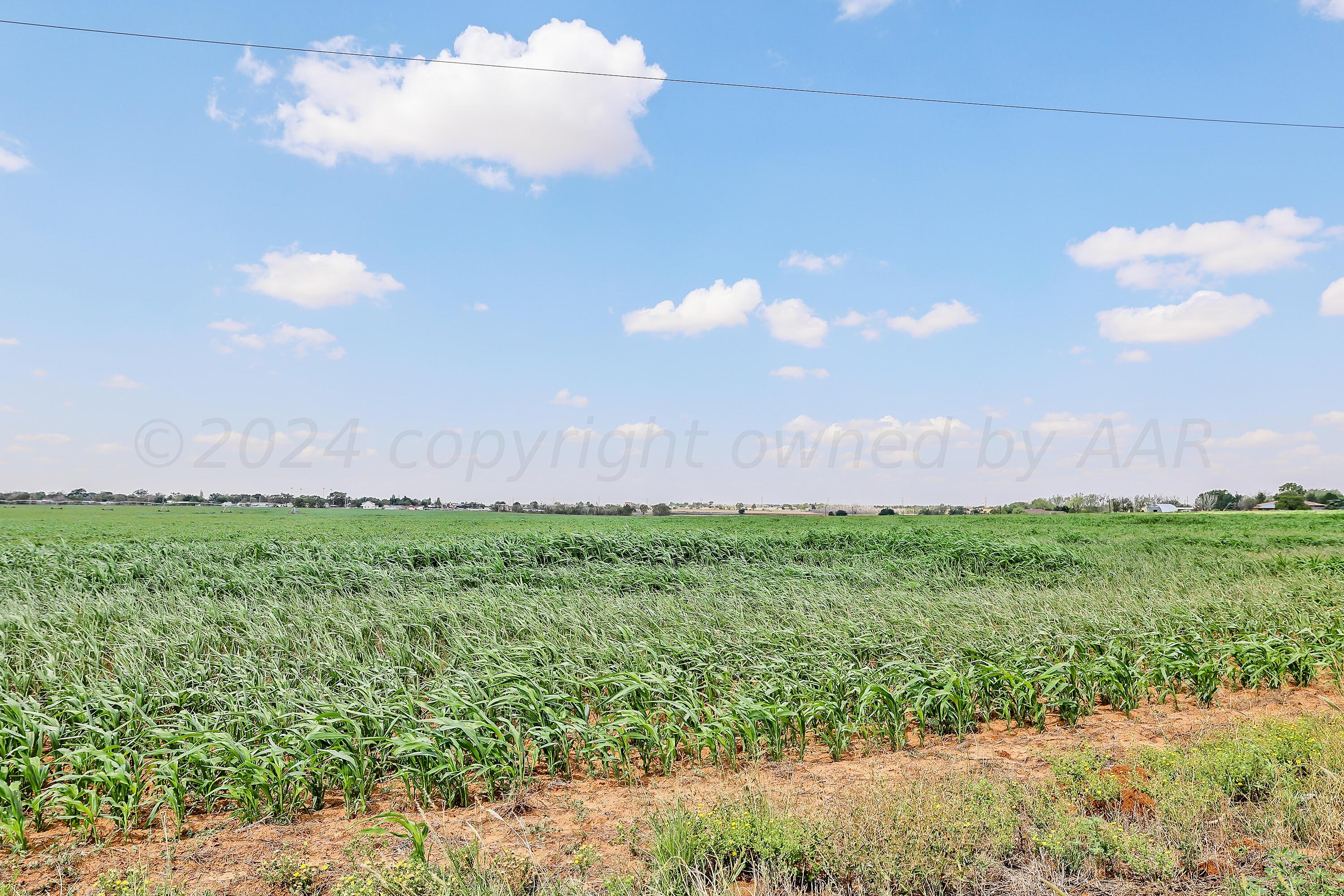 13626 Silverpointe Road, Amarillo, Texas image 4