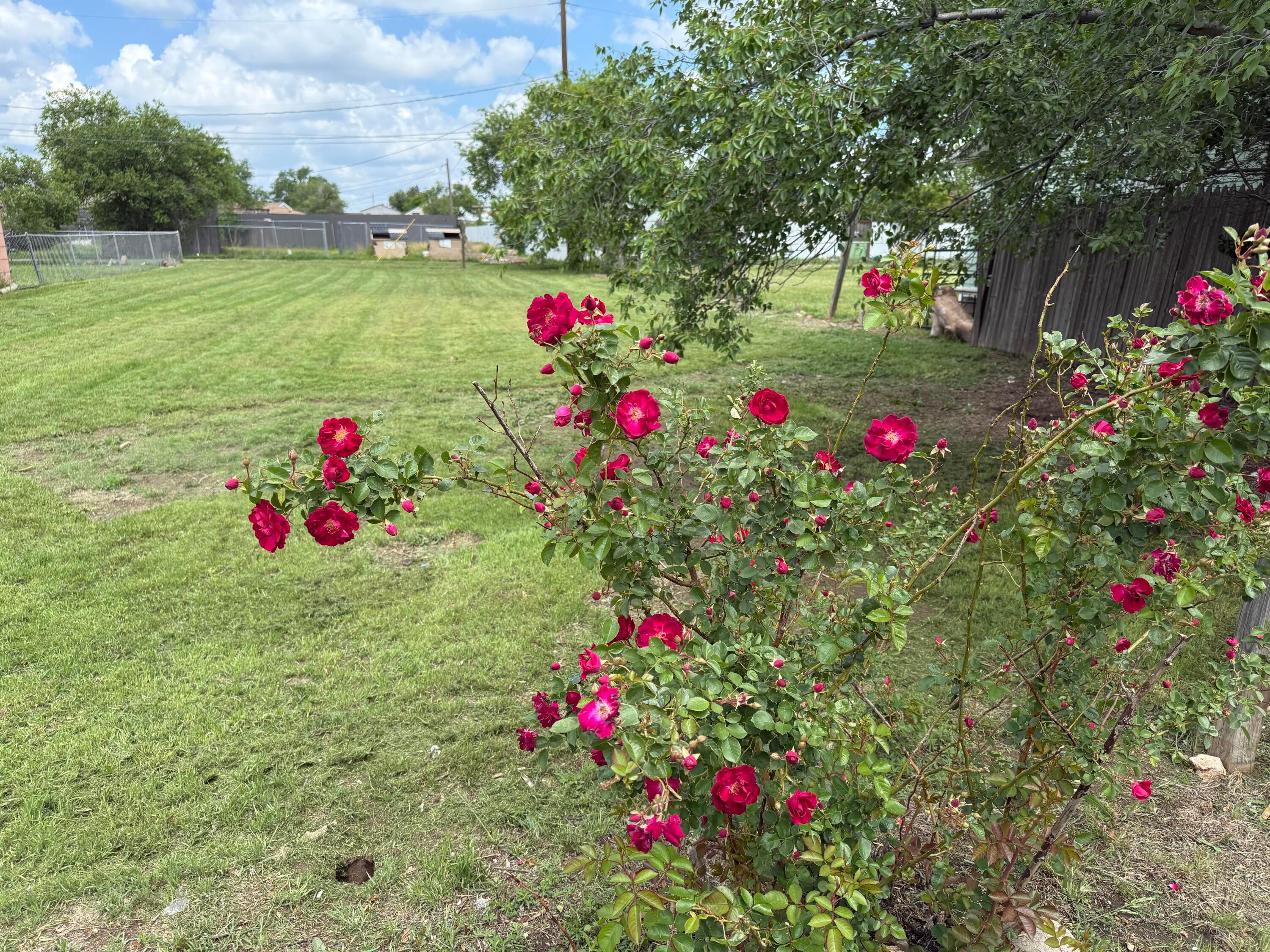 2919 Brook Avenue, Amarillo, Idaho image 1